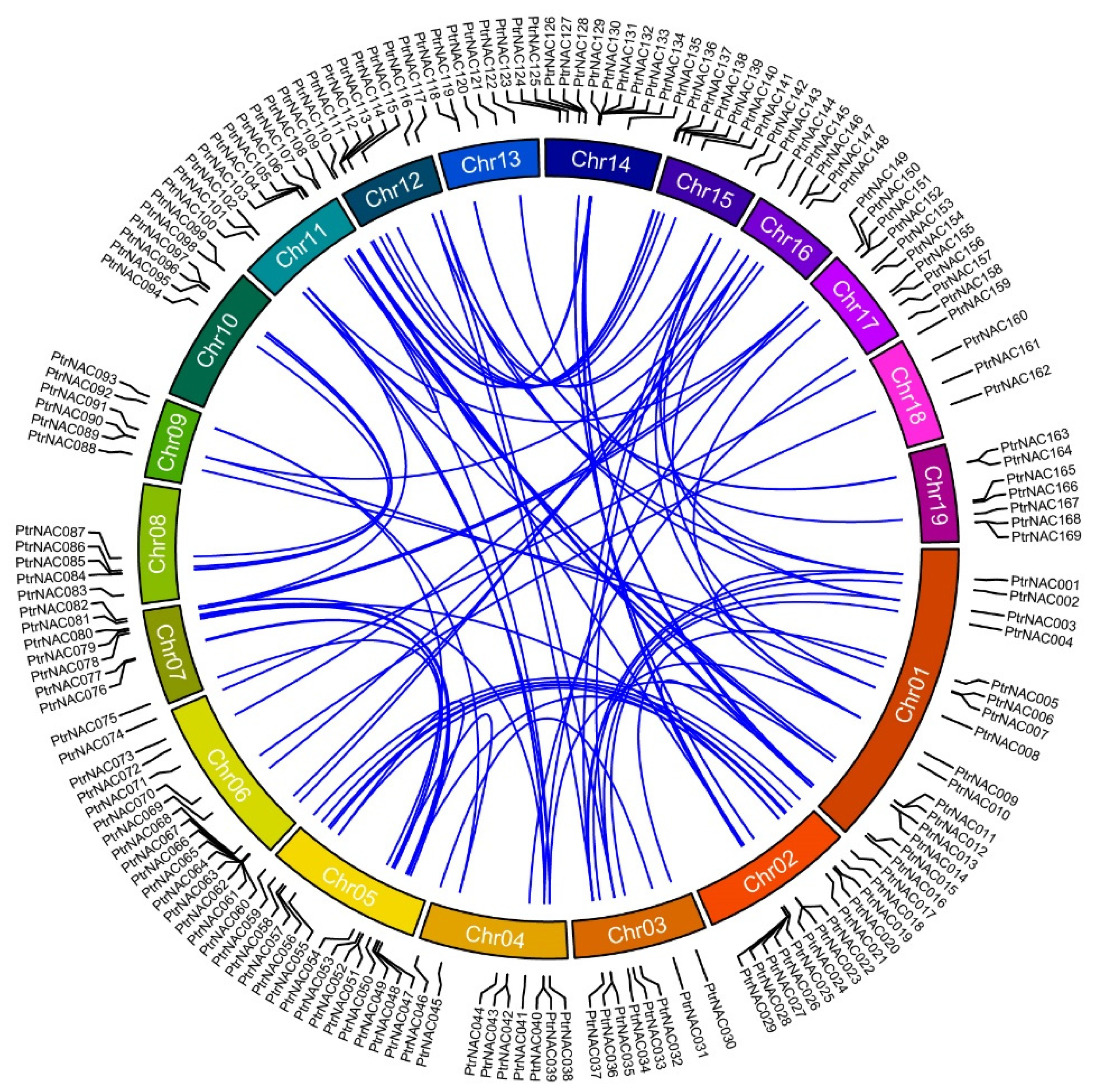 Ijms 24 00253 g001 Ijms 24 00253 g001