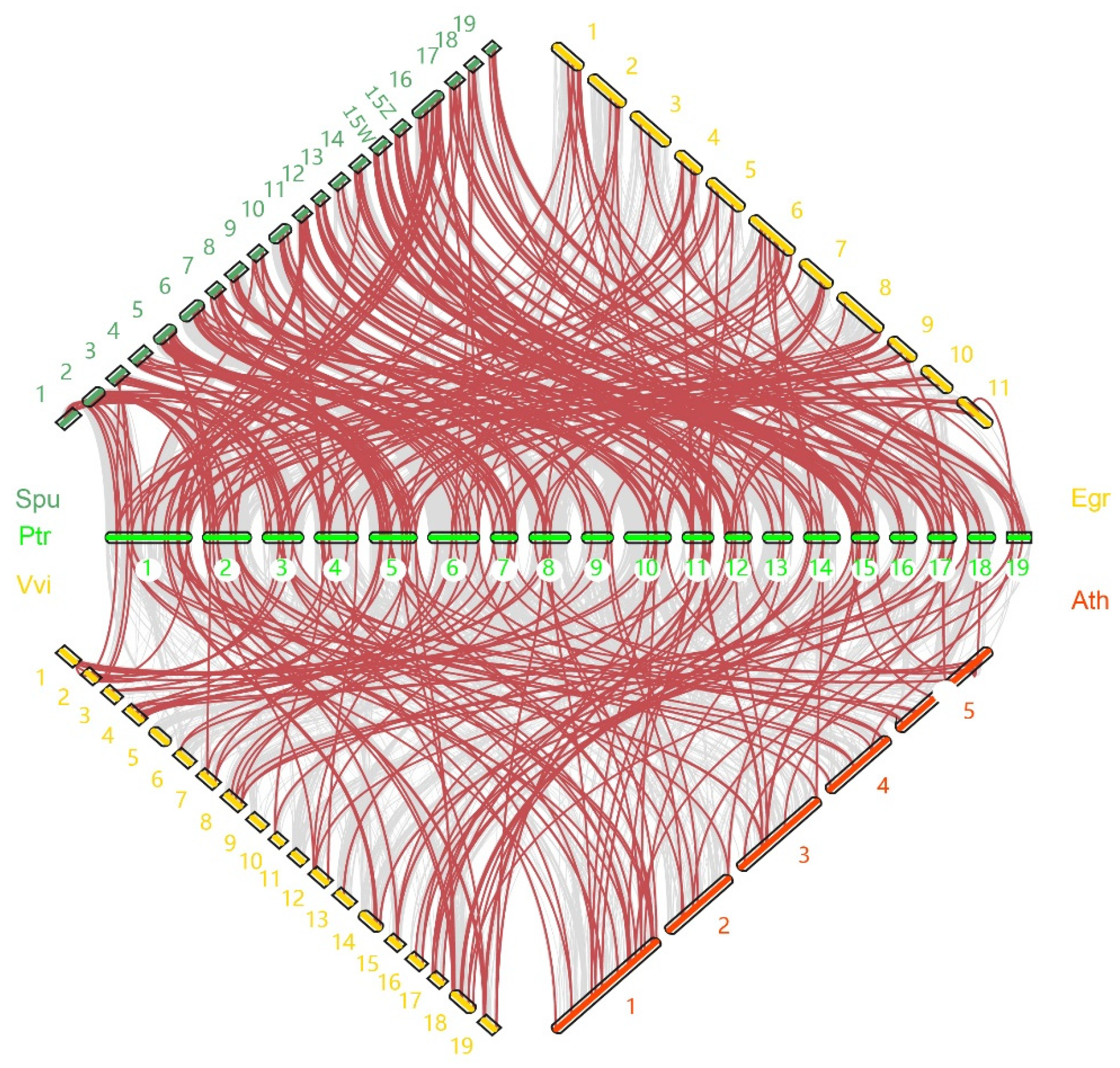 Ijms 24 00253 g002 Ijms 24 00253 g002