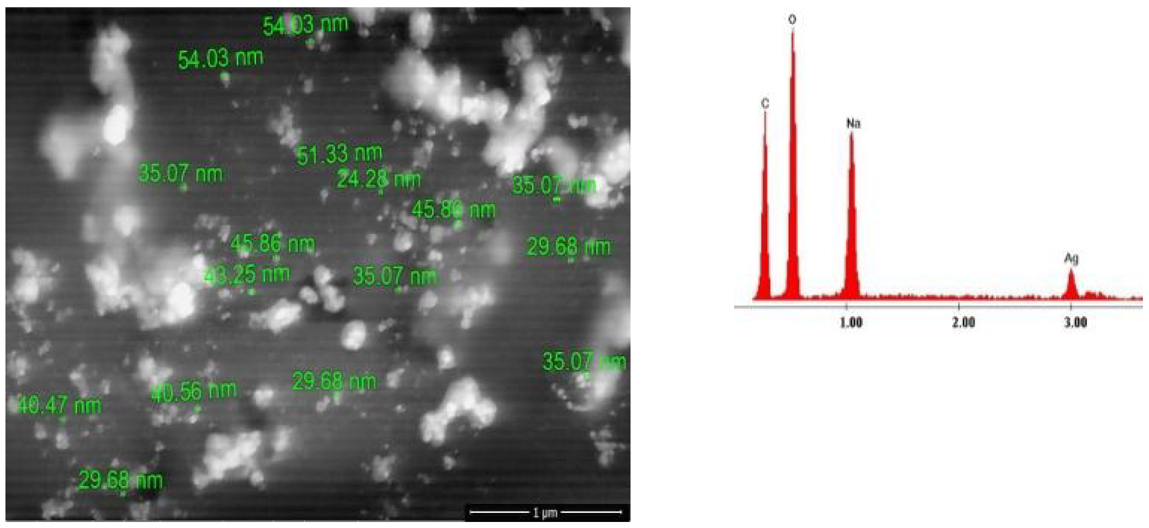 Ijms 24 00255 g004 Ijms 24 00255 g004