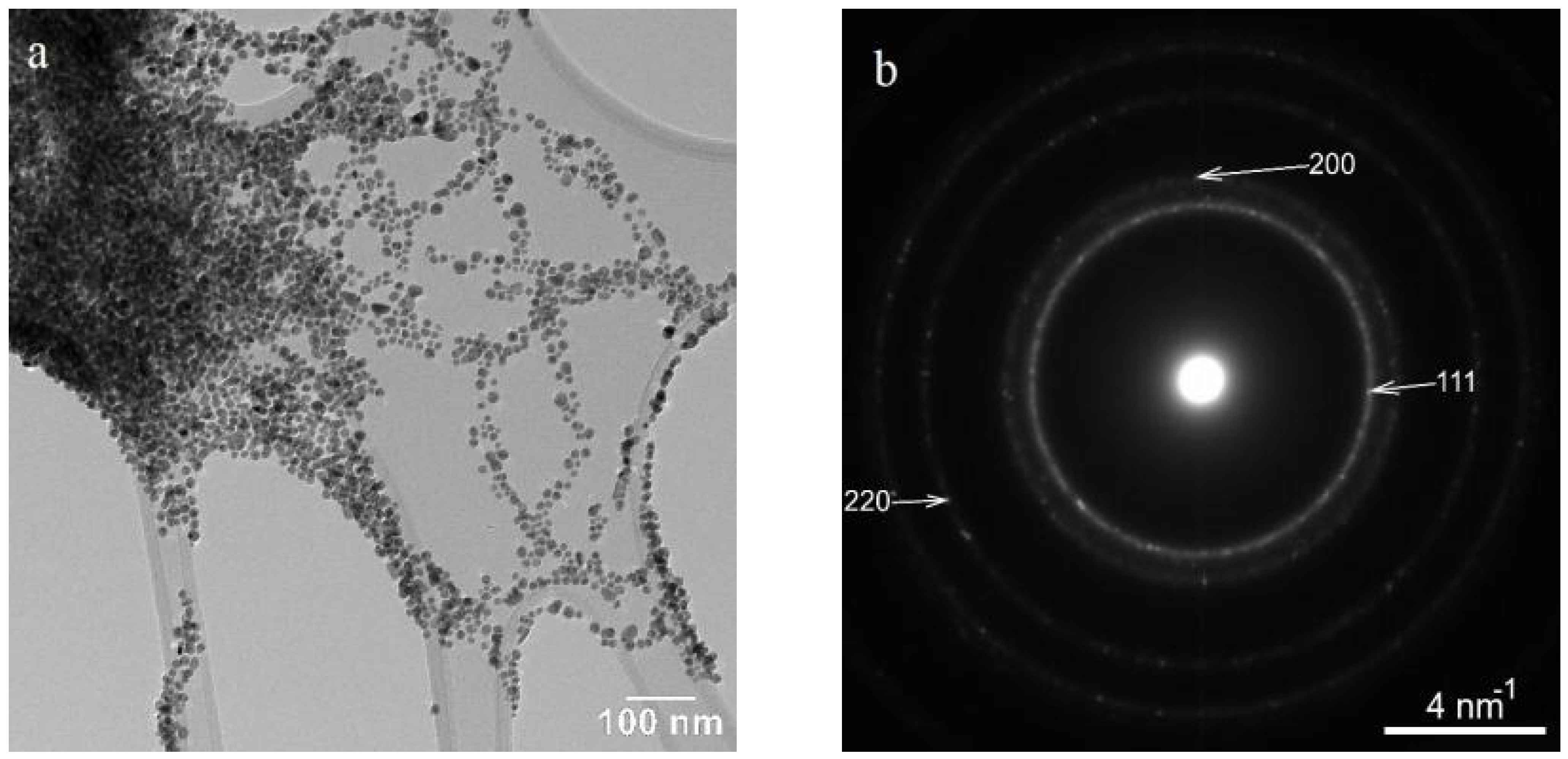 Ijms 24 00255 g006 Ijms 24 00255 g006