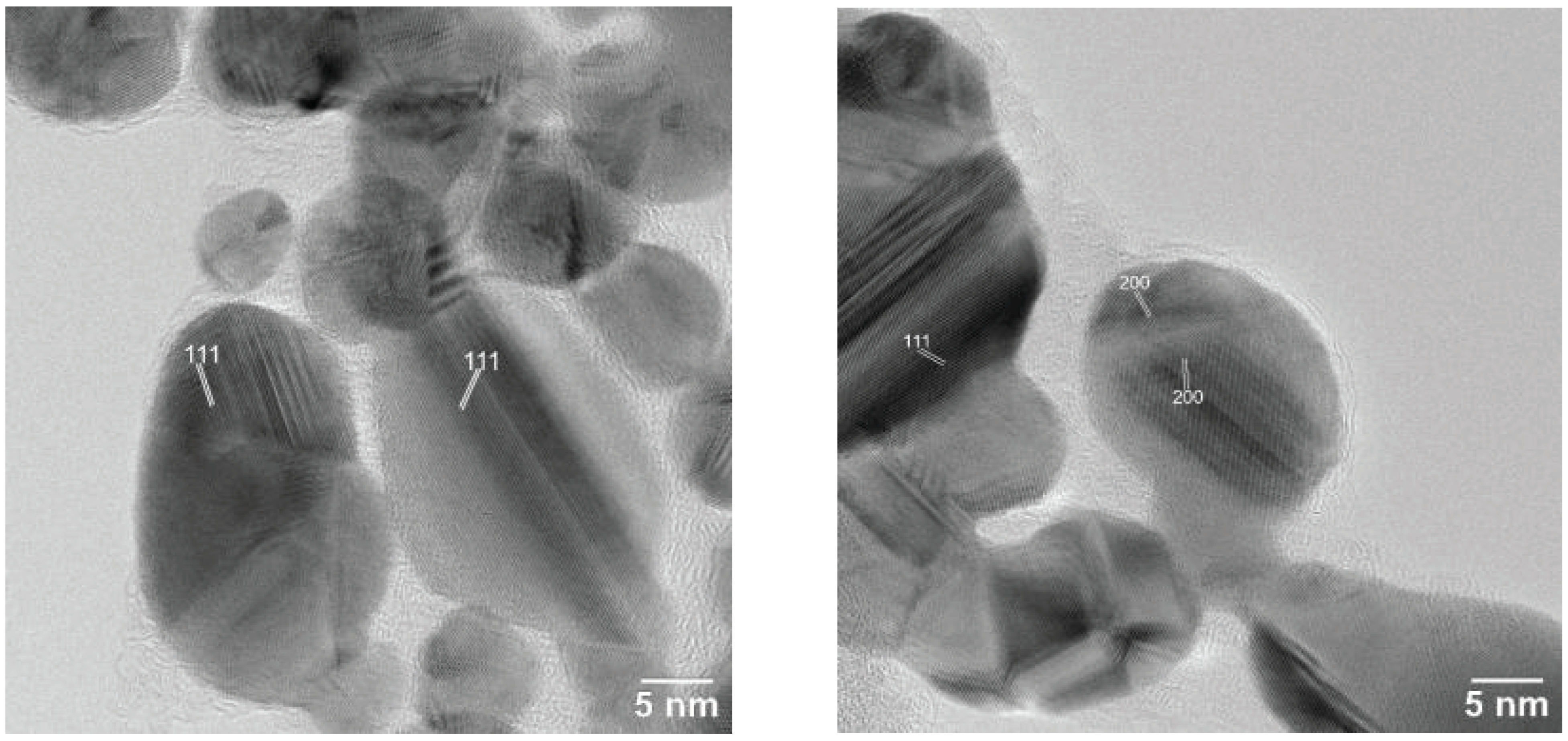 Ijms 24 00255 g007 Ijms 24 00255 g007