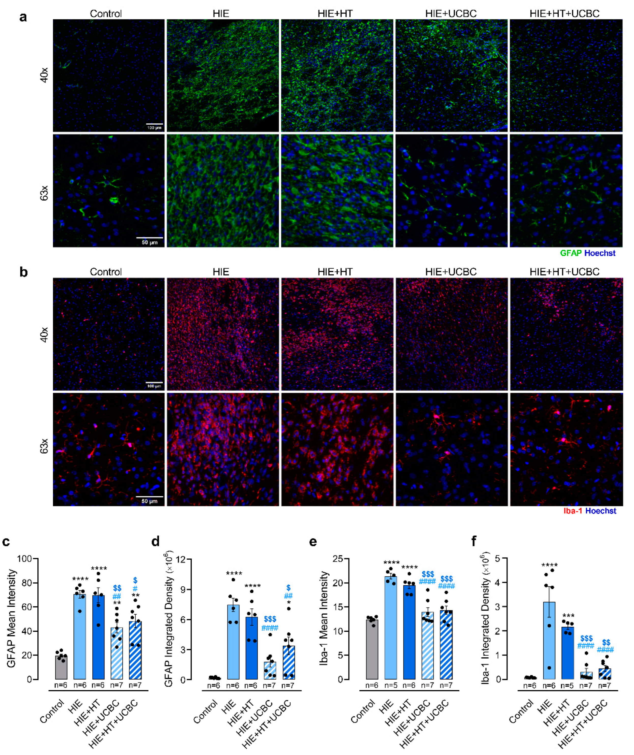 Ijms 24 00257 g002 Ijms 24 00257 g002