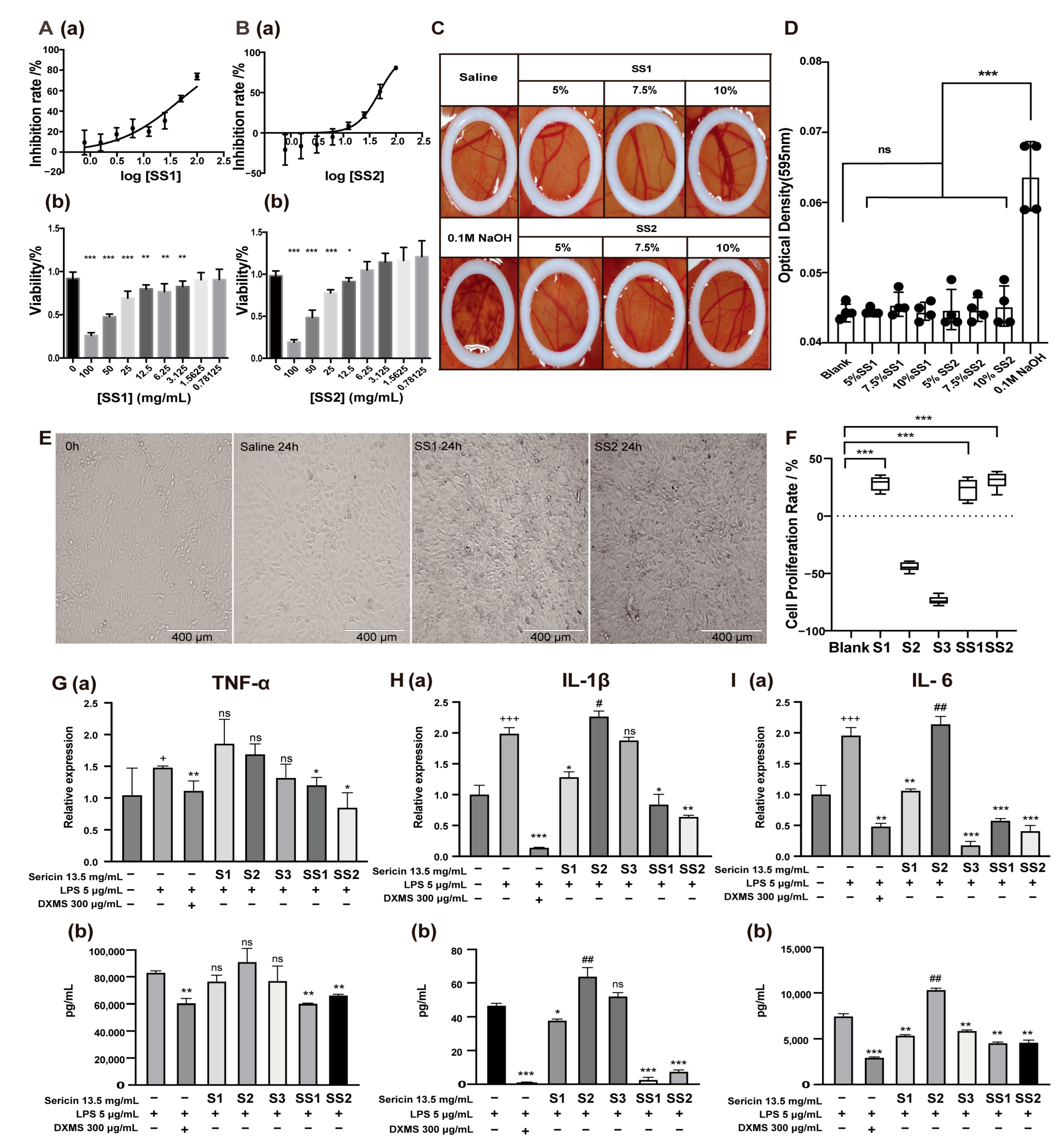Ijms 24 00259 g003 Ijms 24 00259 g003