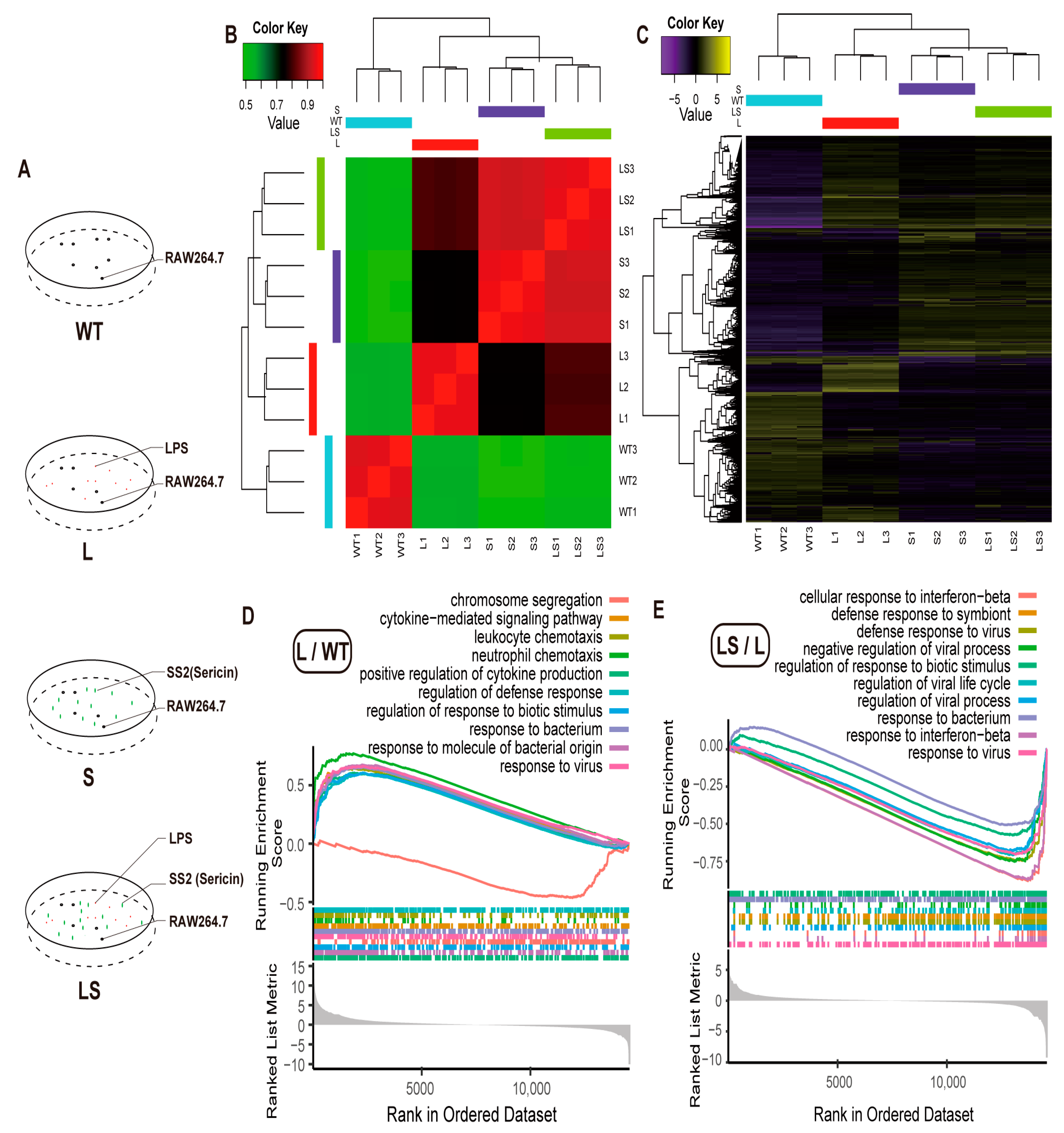 Ijms 24 00259 g004 Ijms 24 00259 g004