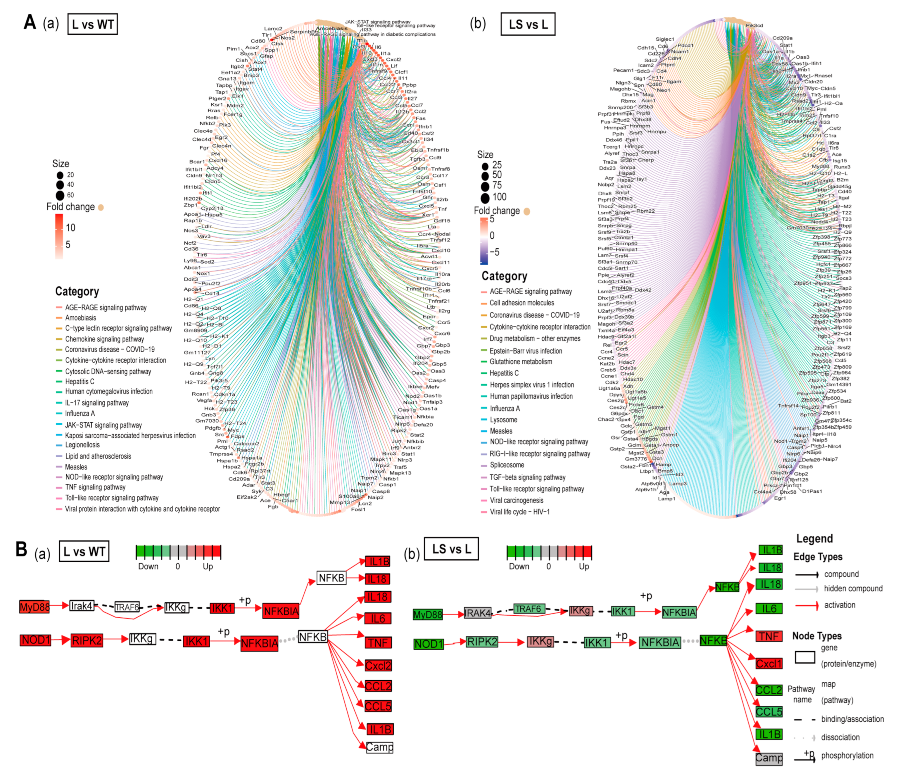 Ijms 24 00259 g006 Ijms 24 00259 g006