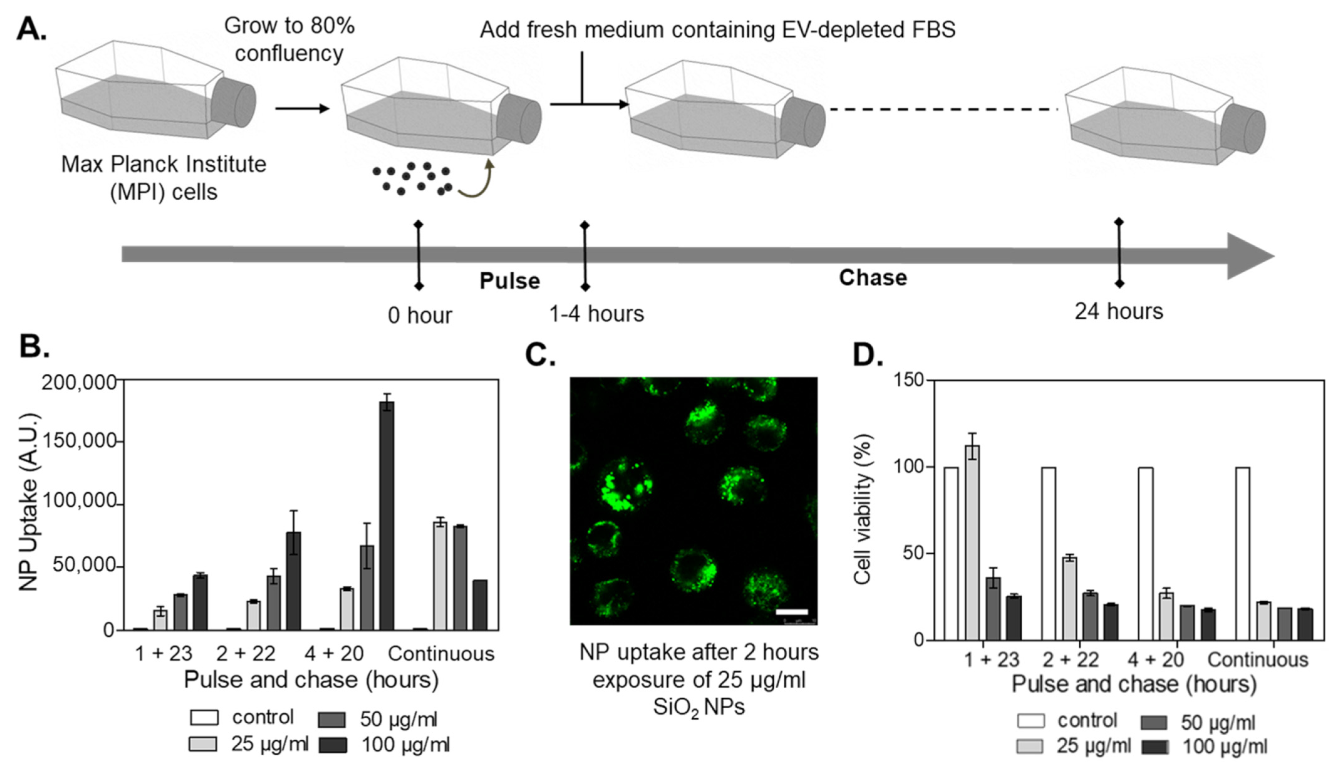 Ijms 24 00260 g001 Ijms 24 00260 g001