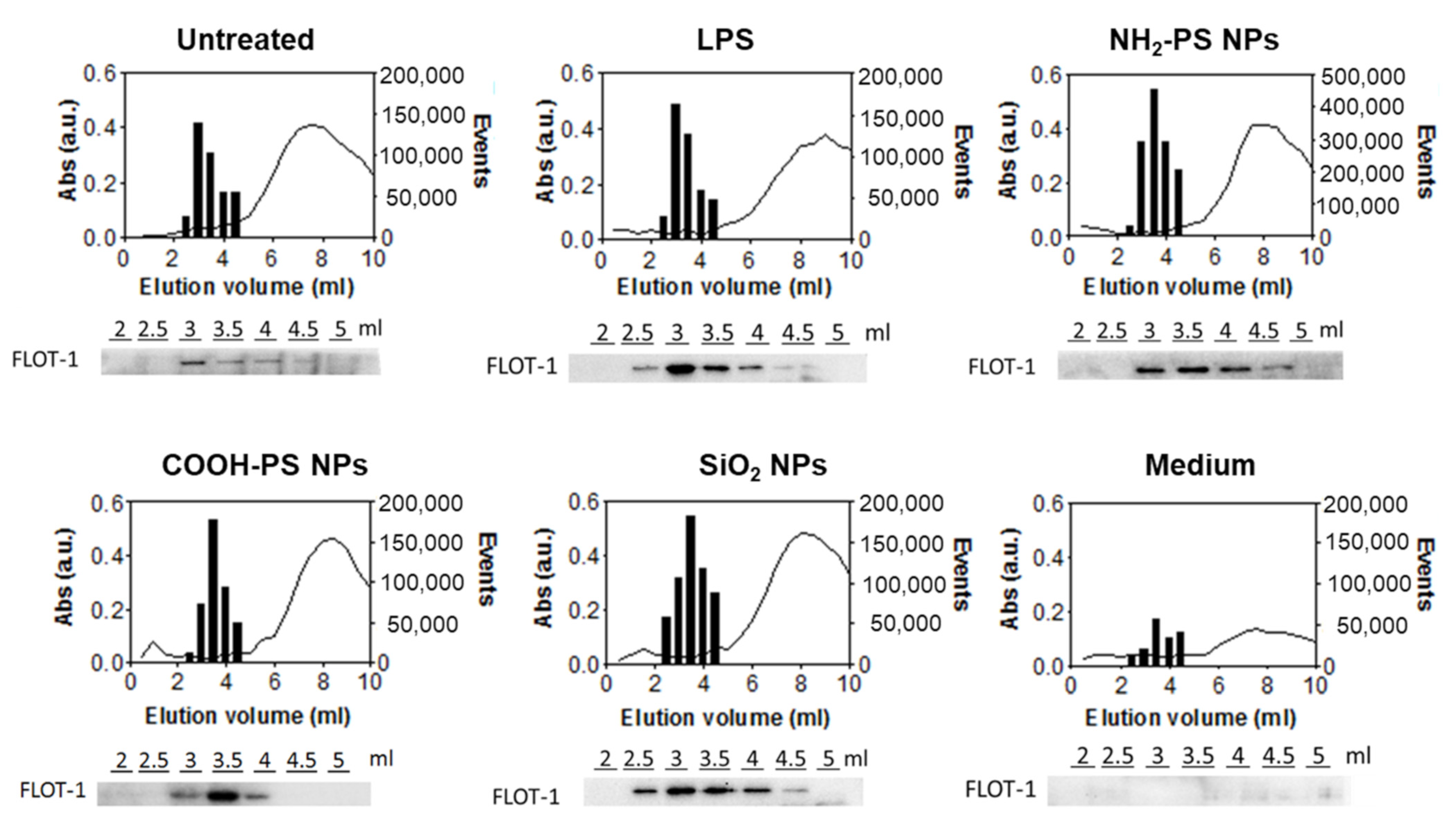 Ijms 24 00260 g003 Ijms 24 00260 g003