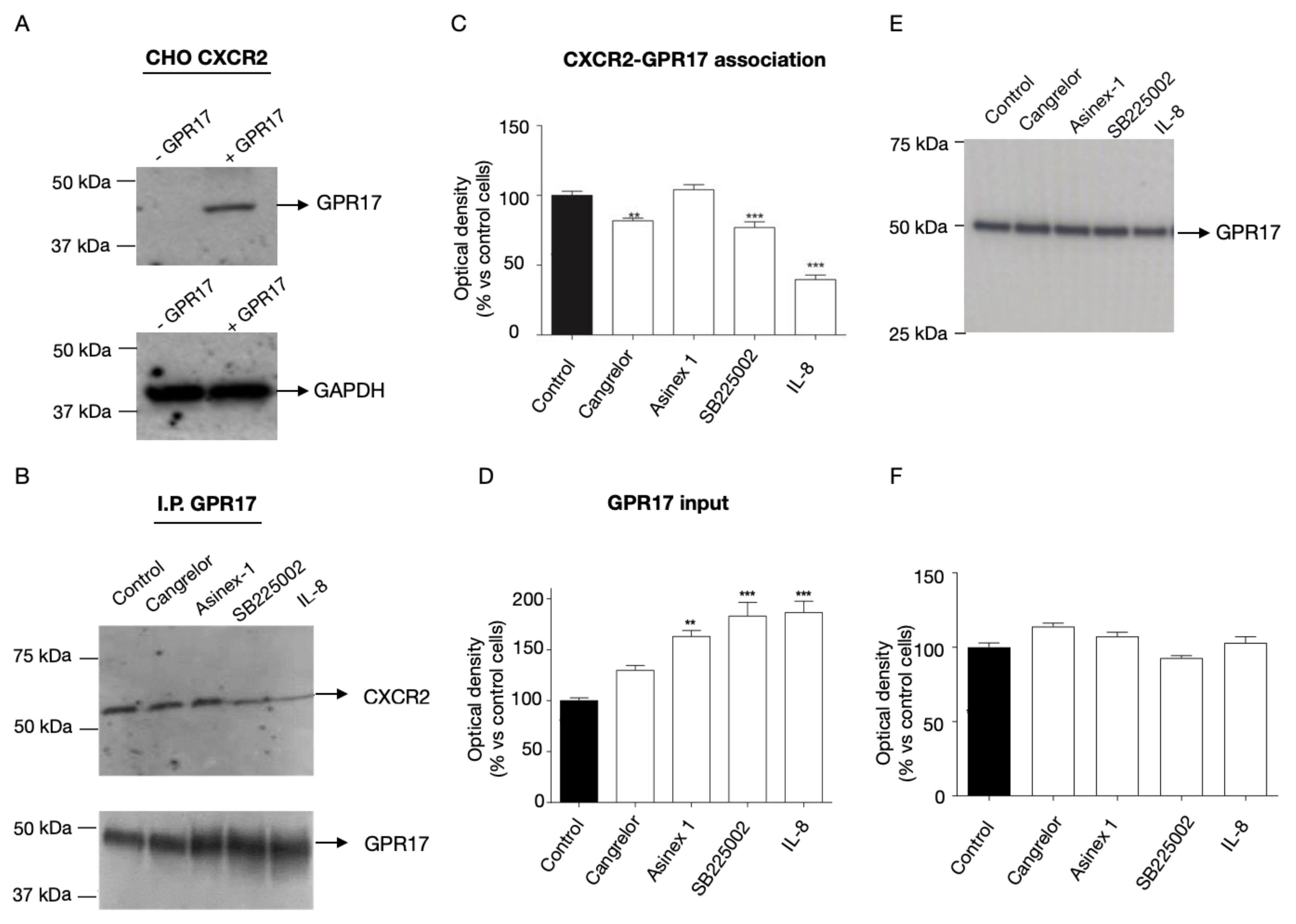 Ijms 24 00261 g001 Ijms 24 00261 g001