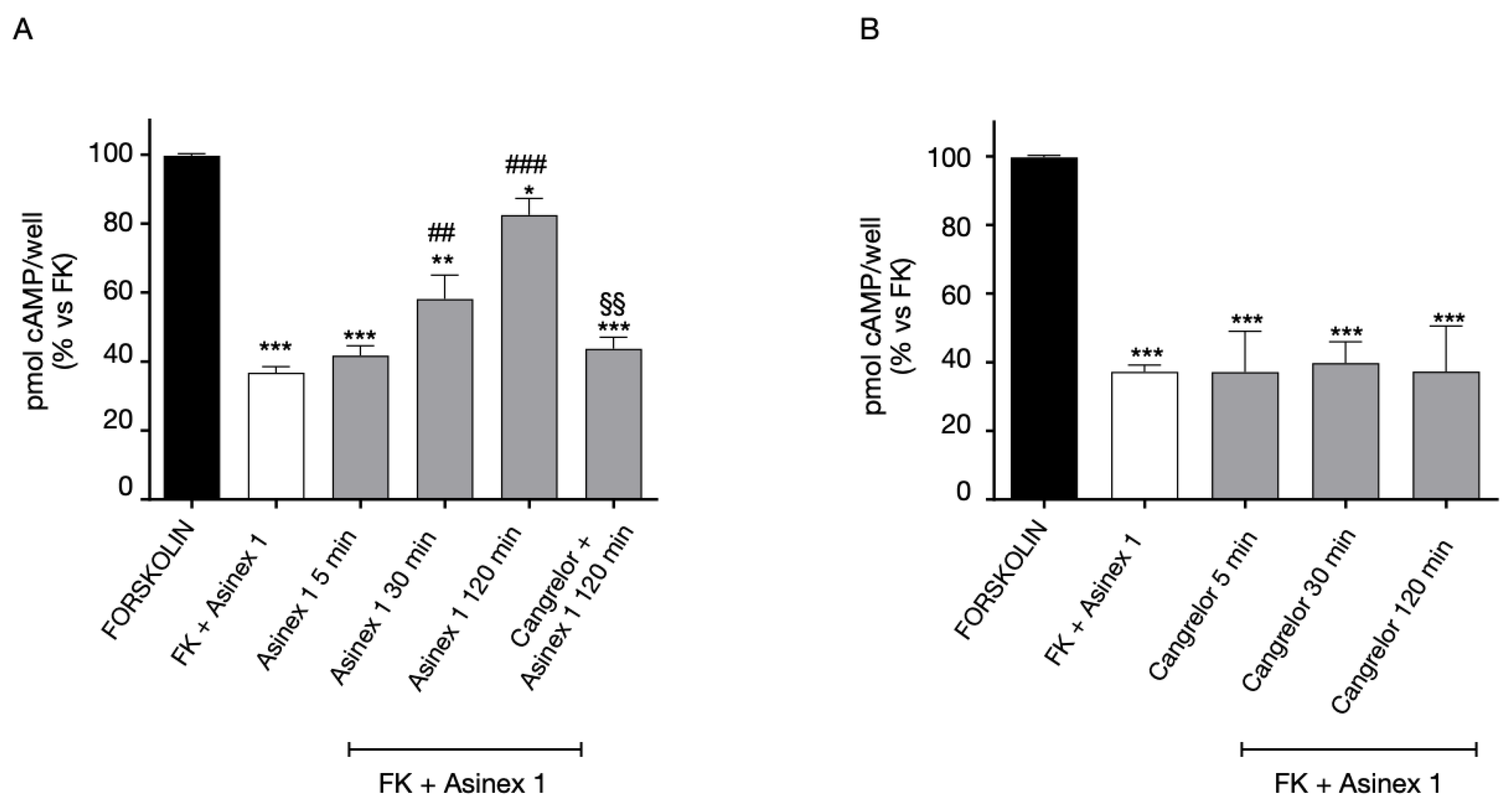 Ijms 24 00261 g005 Ijms 24 00261 g005