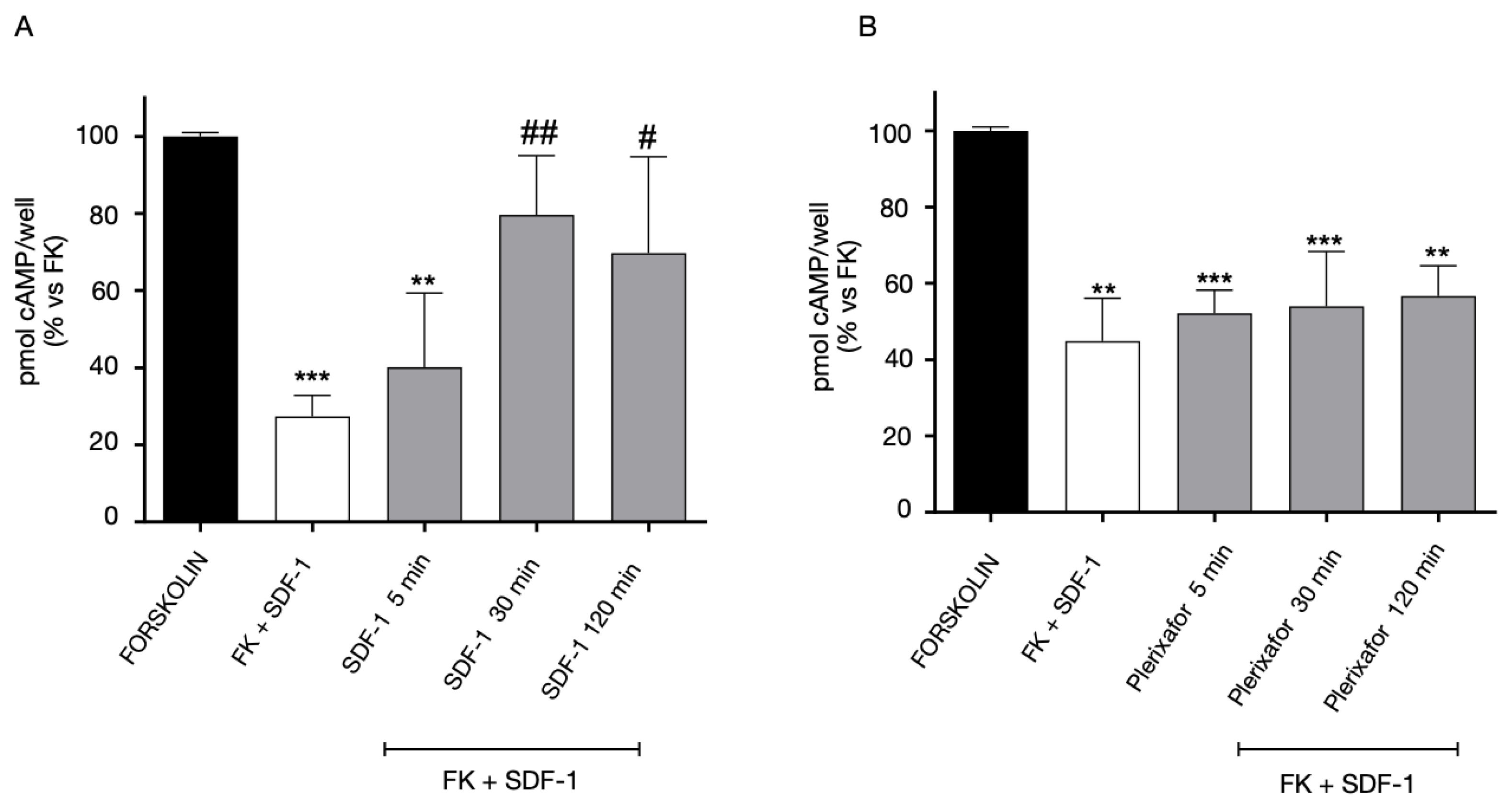 Ijms 24 00261 g008 Ijms 24 00261 g008