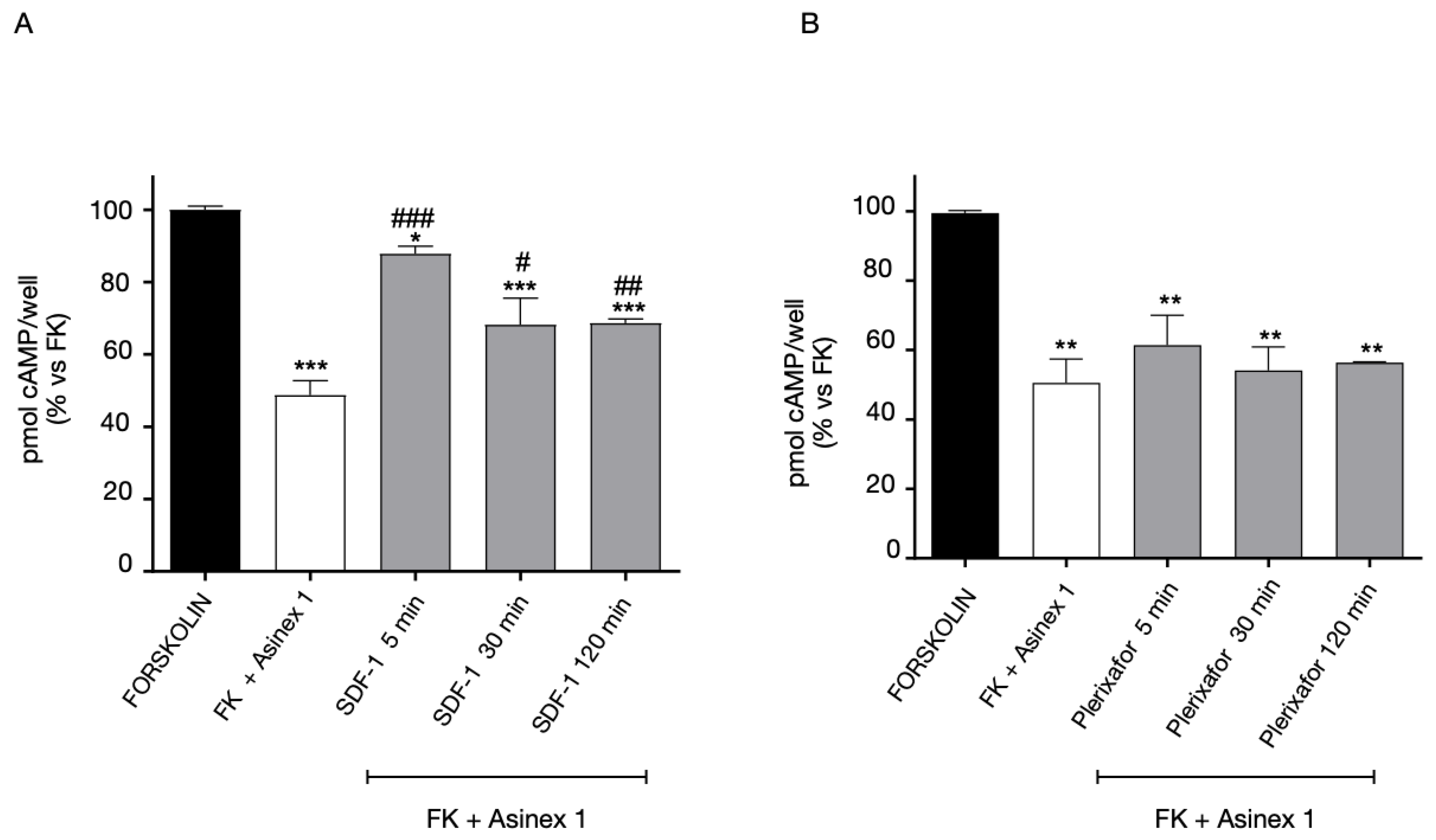 Ijms 24 00261 g009 Ijms 24 00261 g009