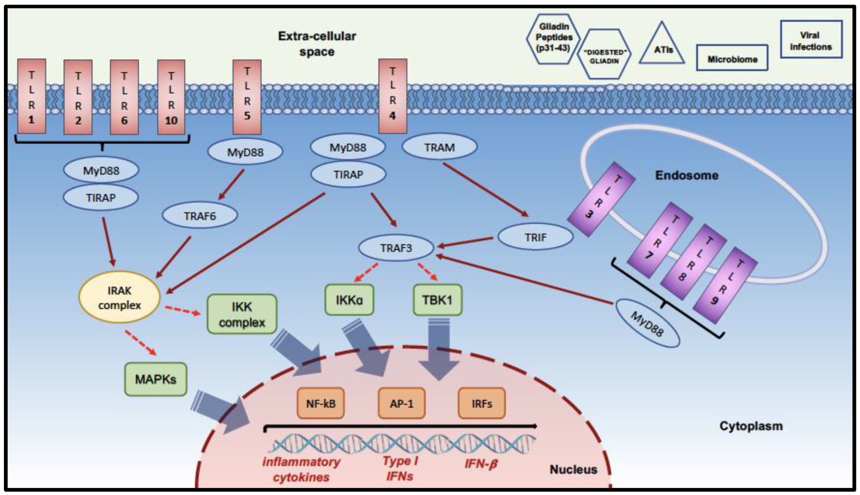 Ijms 24 00265 g001 Ijms 24 00265 g001