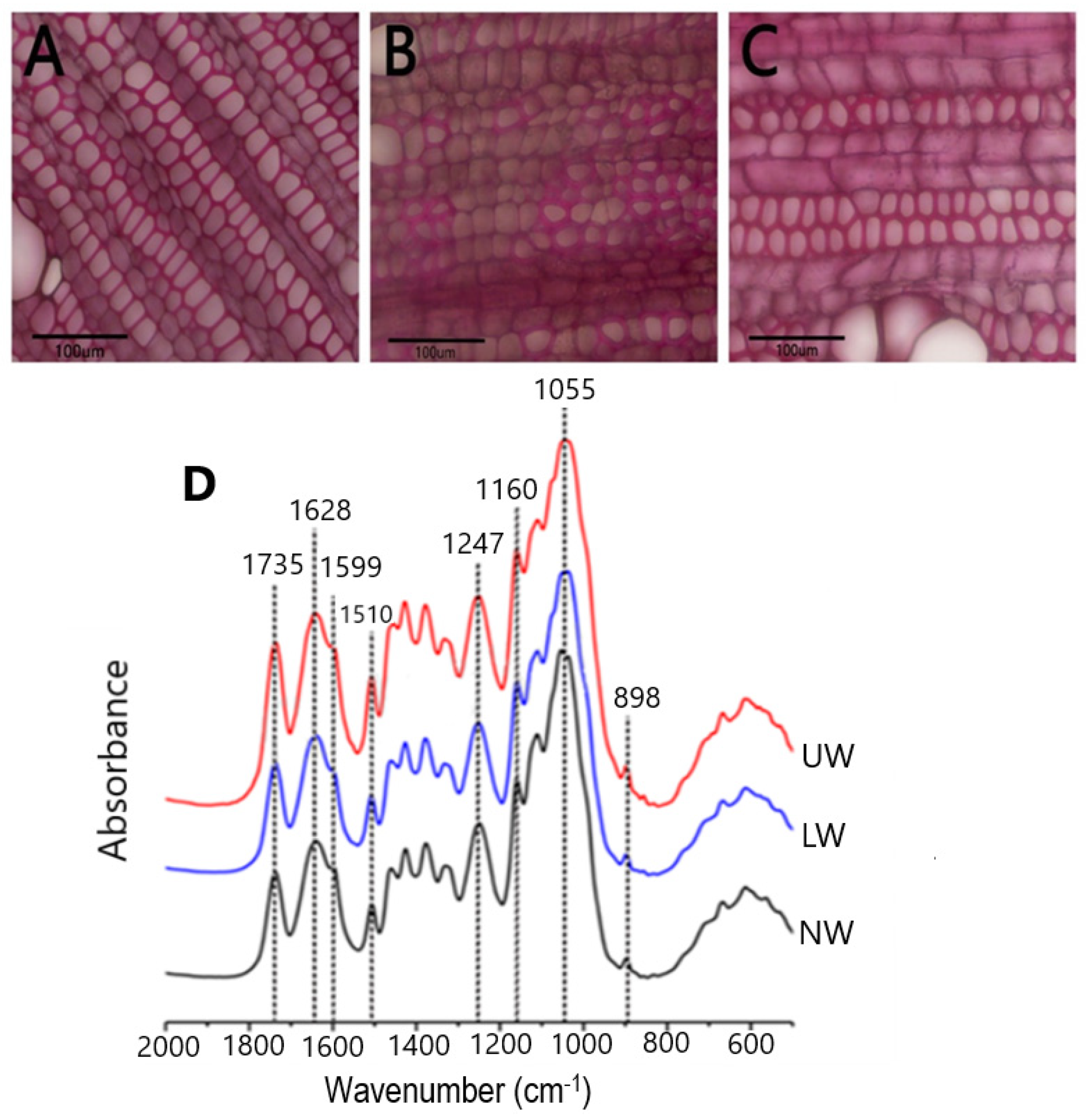 Ijms 24 00268 g001 Ijms 24 00268 g001
