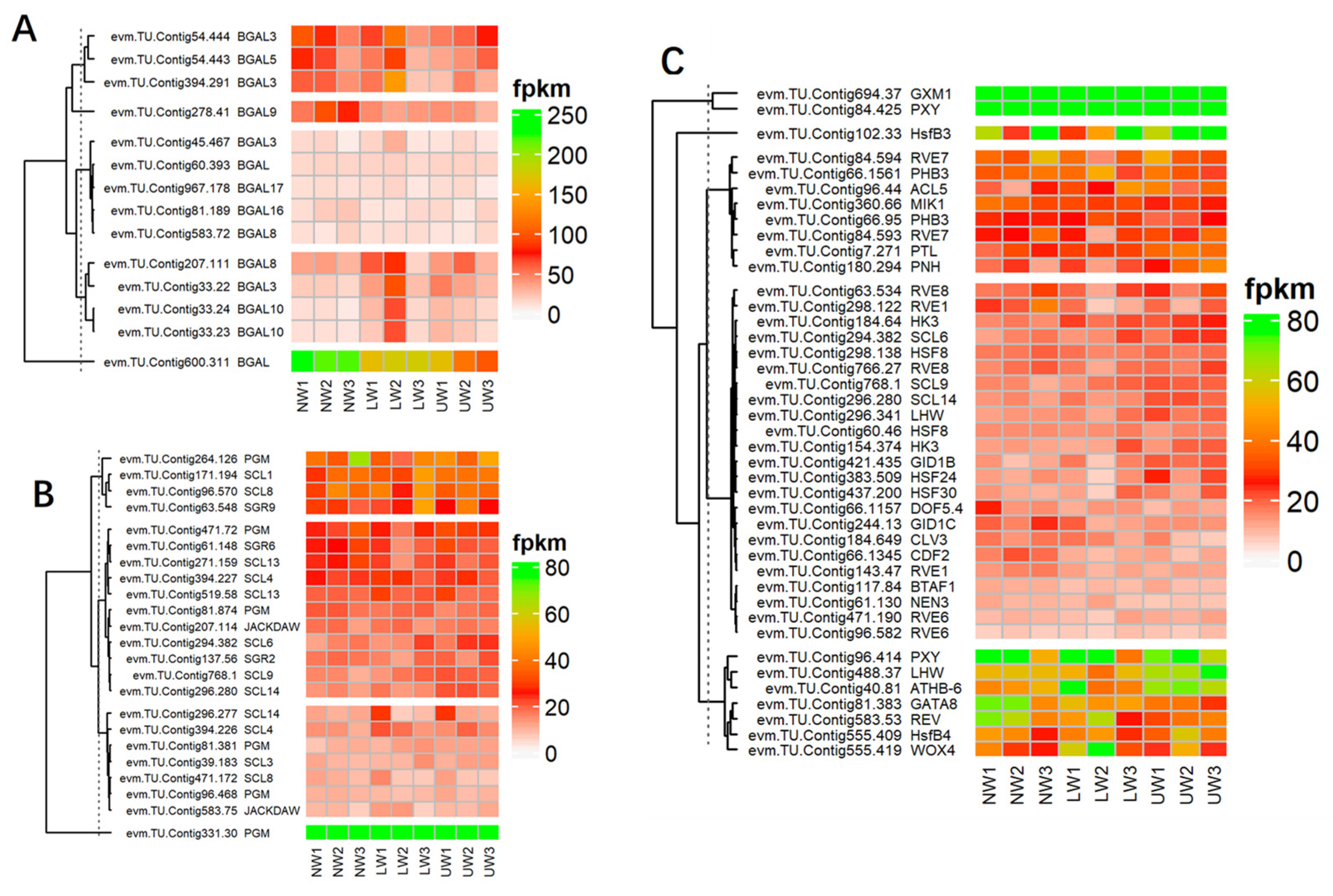Ijms 24 00268 g004 Ijms 24 00268 g004