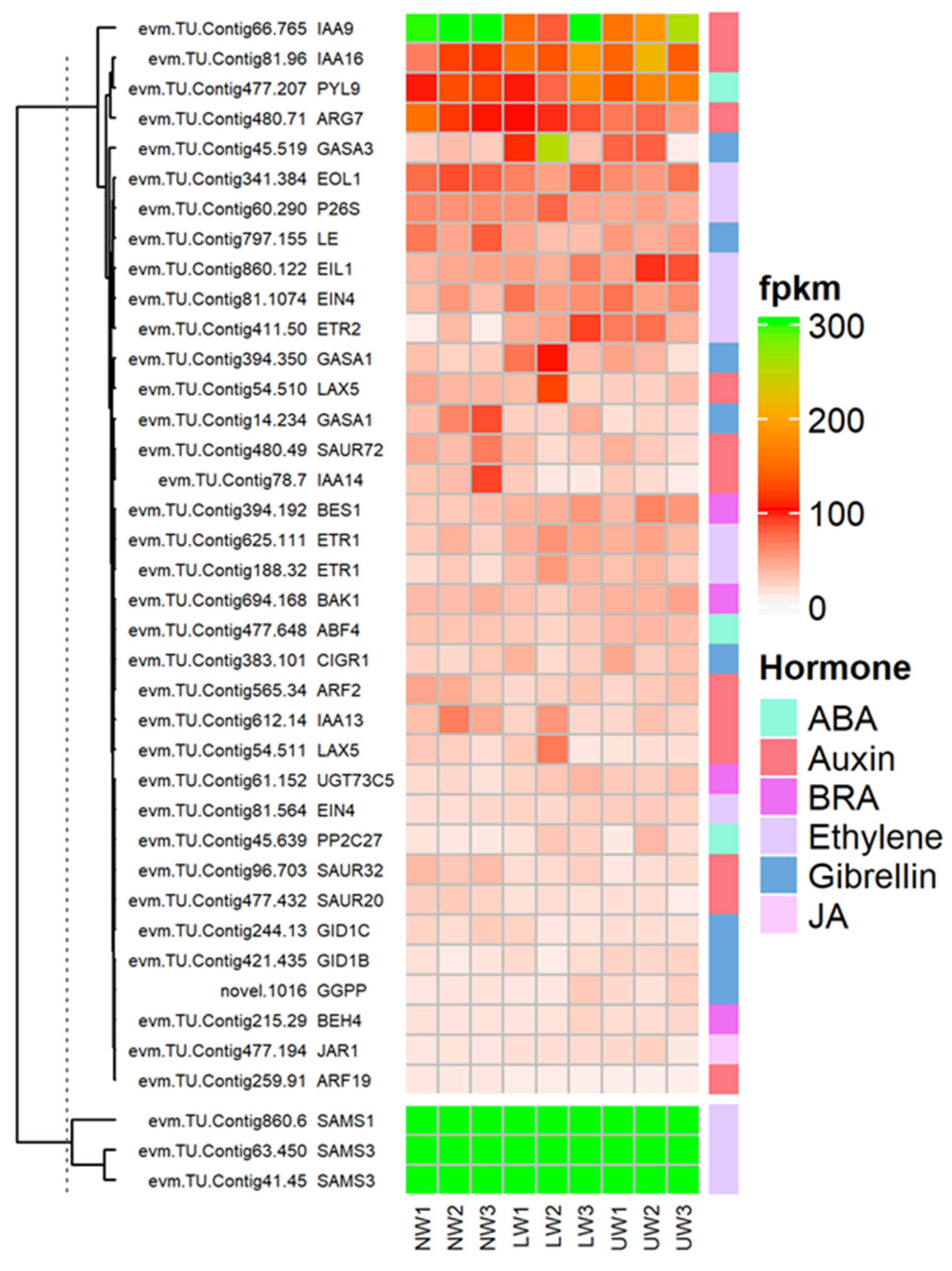 Ijms 24 00268 g005 Ijms 24 00268 g005
