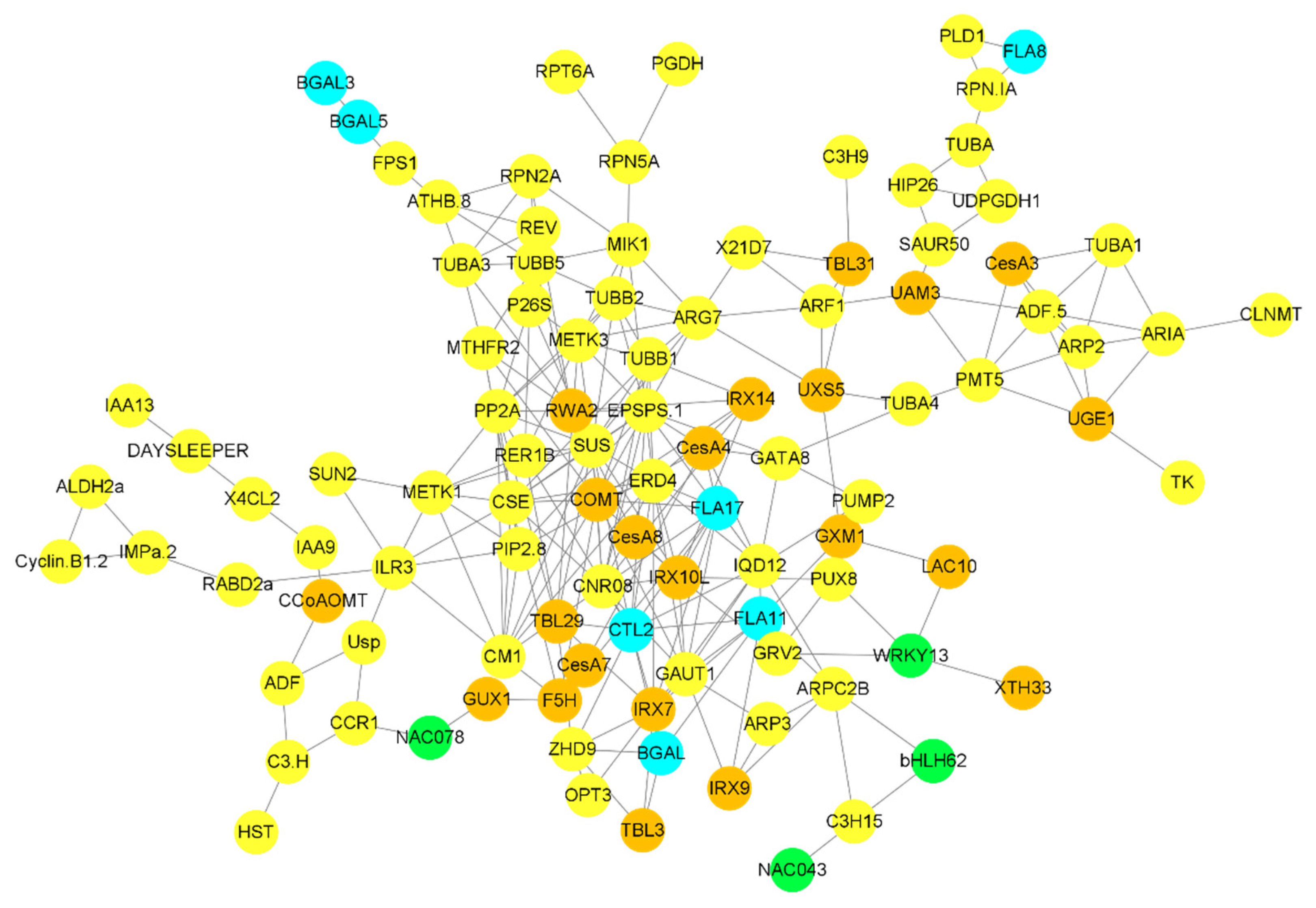 Ijms 24 00268 g006 Ijms 24 00268 g006