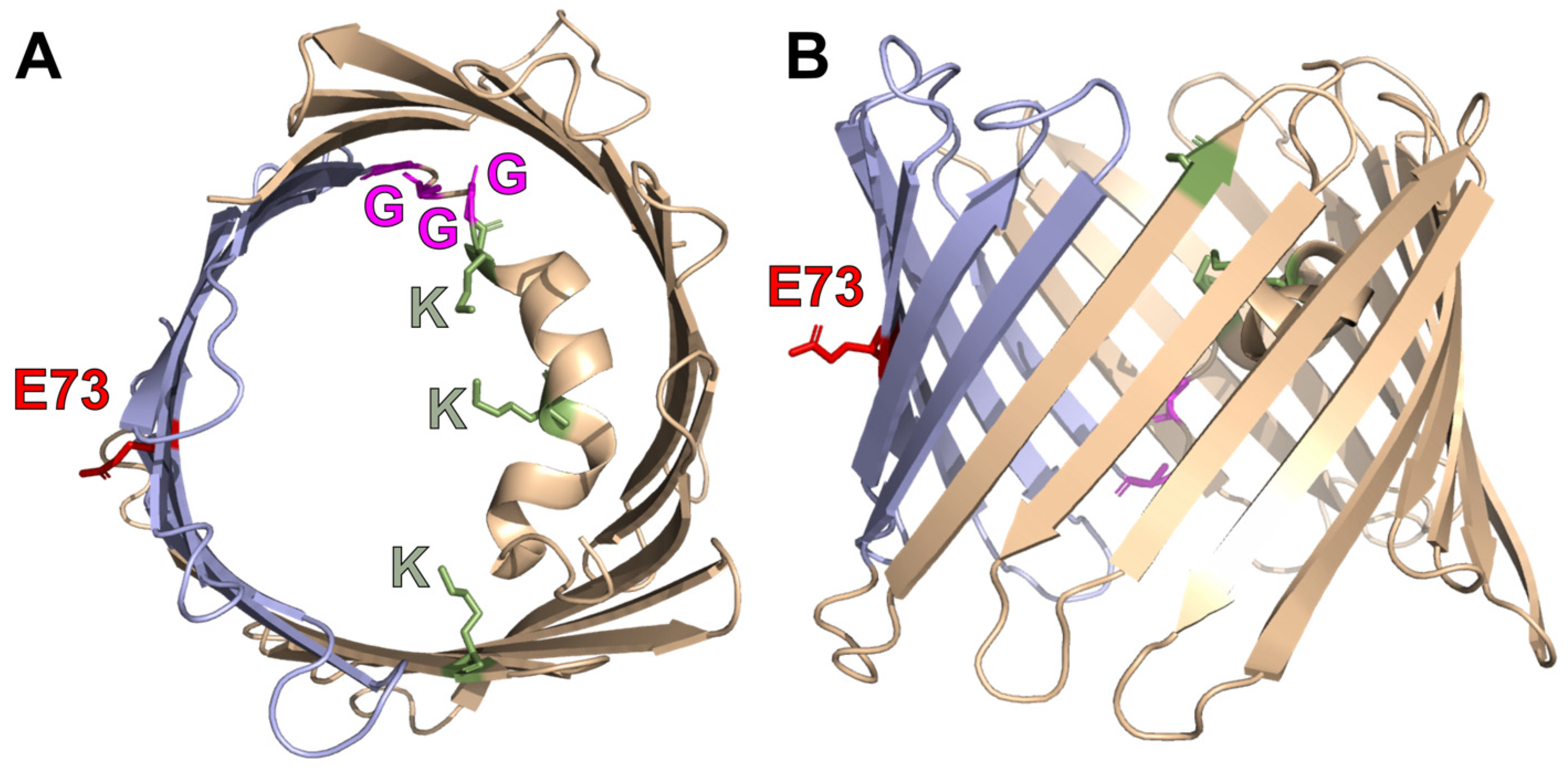 Ijms 24 00269 g001 Ijms 24 00269 g001
