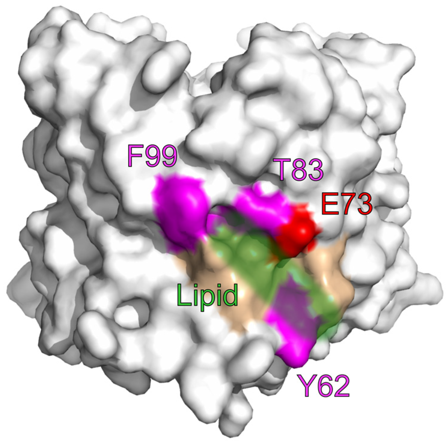 Ijms 24 00269 g002 Ijms 24 00269 g002