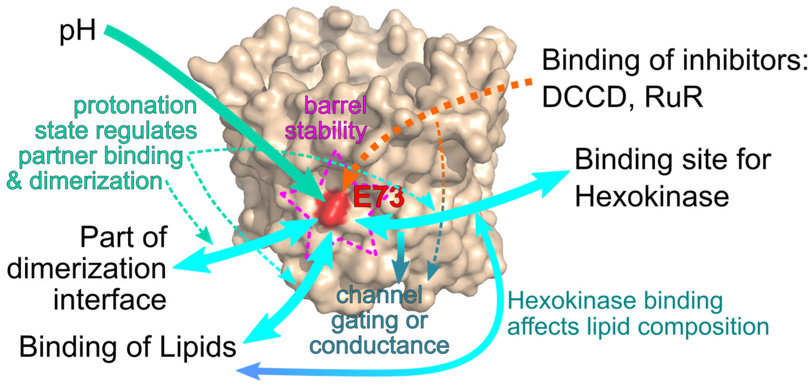 Ijms 24 00269 g003 Ijms 24 00269 g003