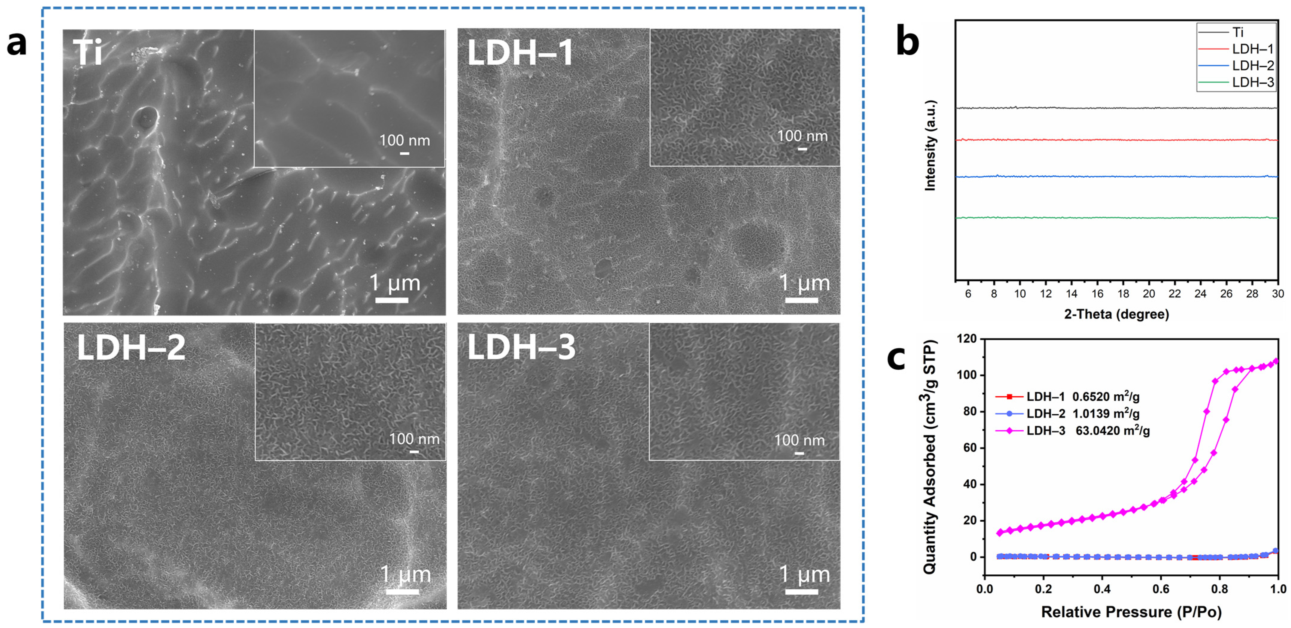 Ijms 24 00272 g001 550