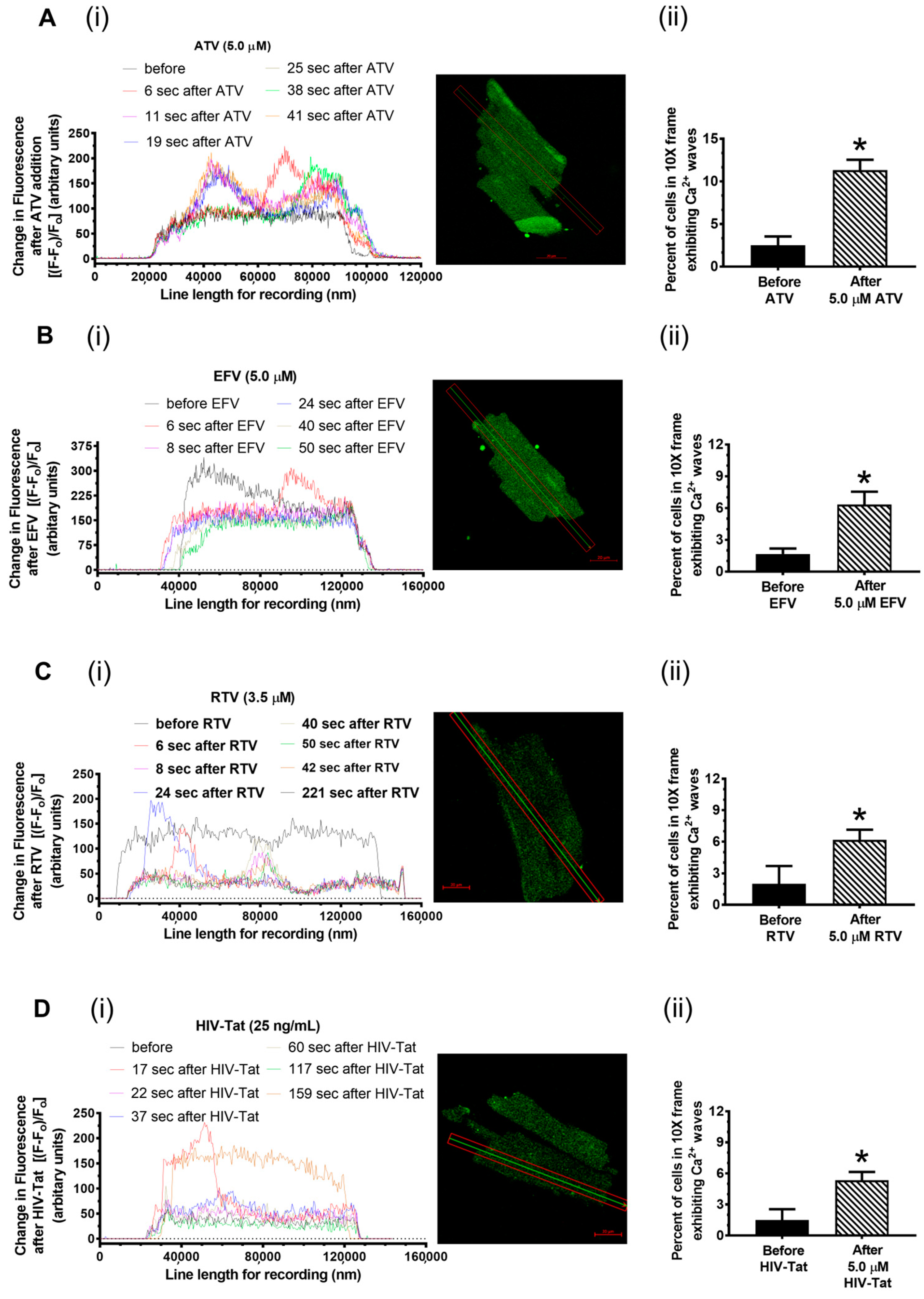 Ijms 24 00274 g002 Ijms 24 00274 g002
