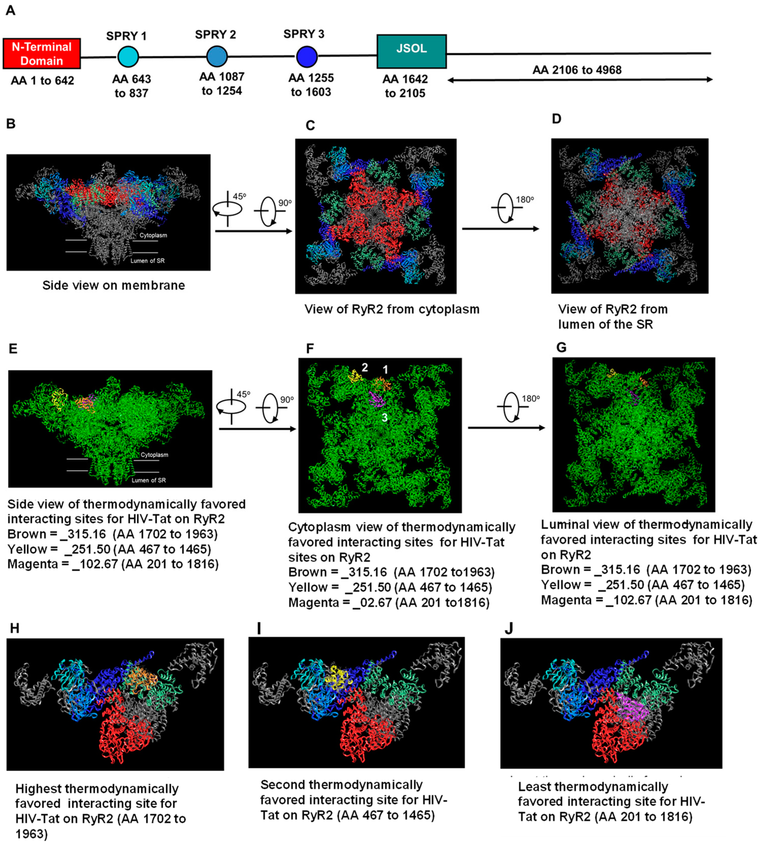 Ijms 24 00274 g009 Ijms 24 00274 g009