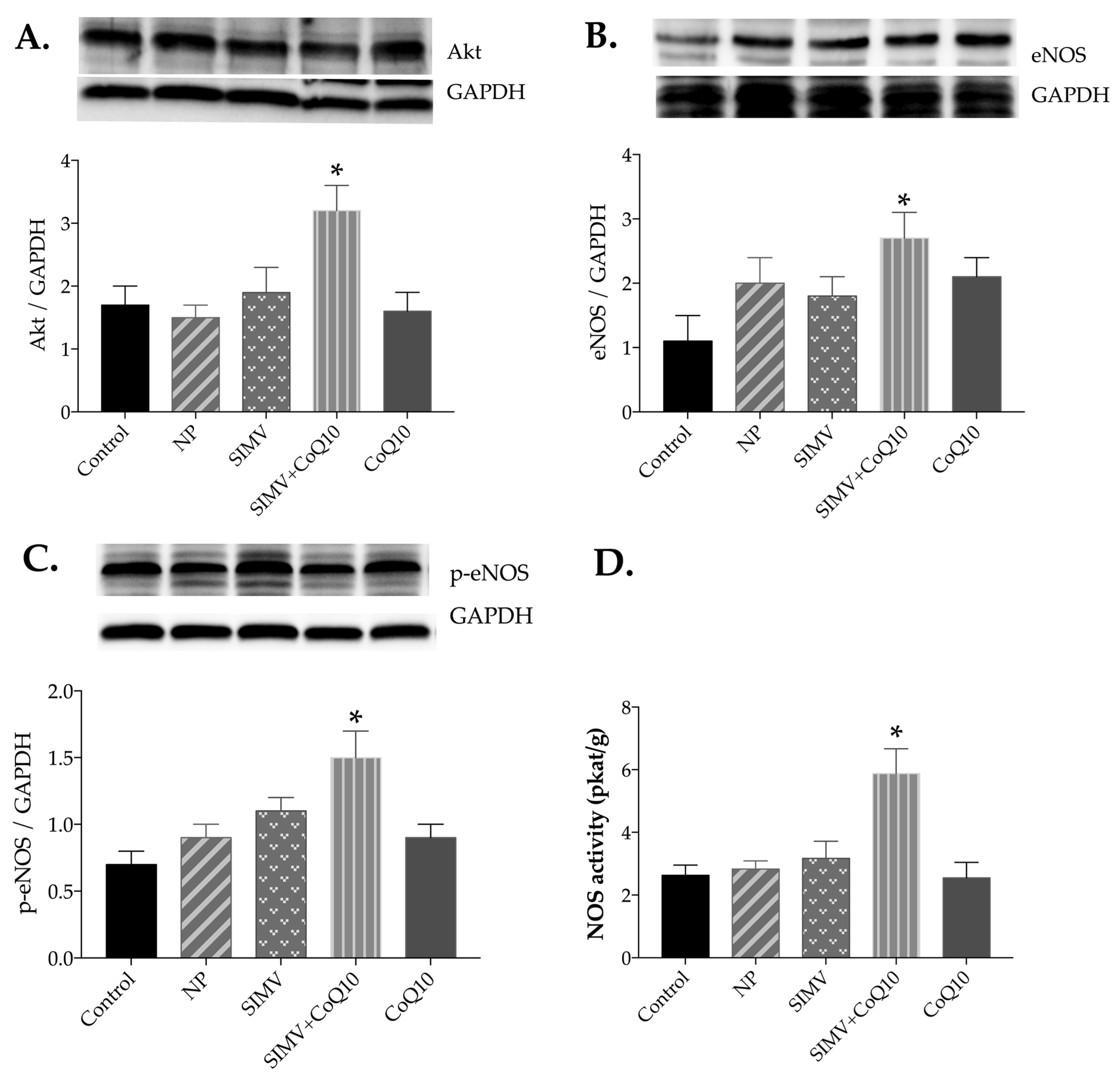 Ijms 24 00276 g002 Ijms 24 00276 g002