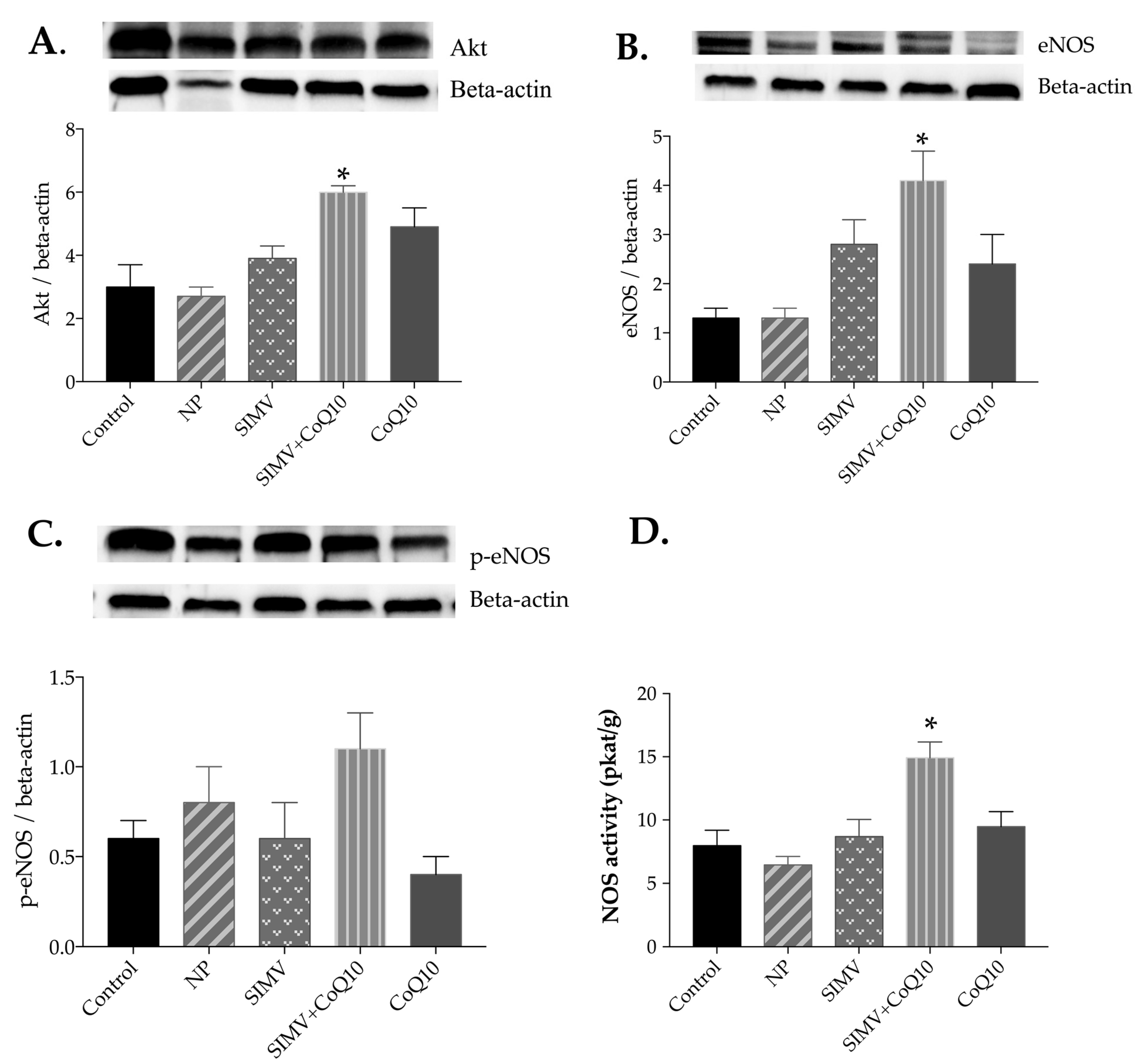 Ijms 24 00276 g003 Ijms 24 00276 g003