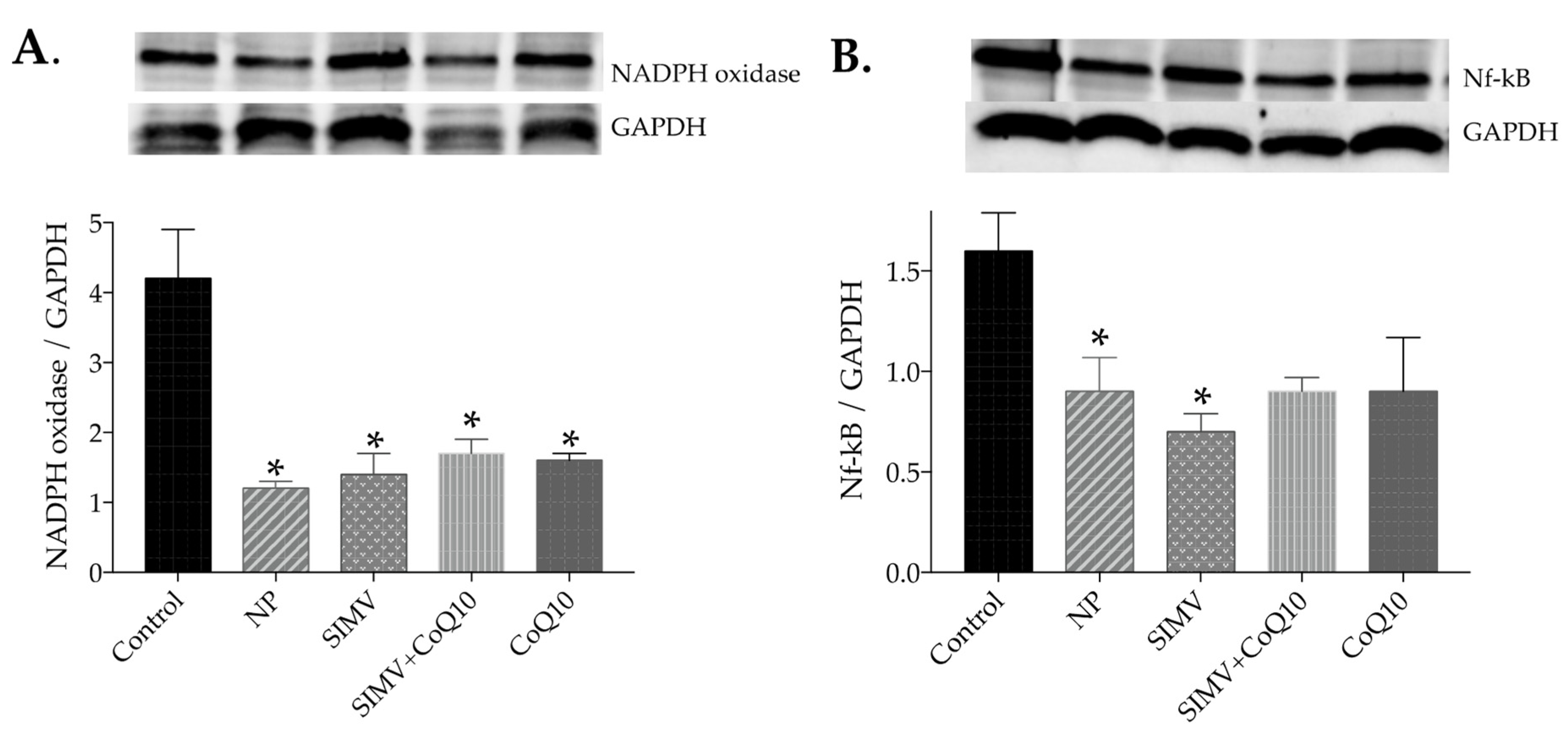 Ijms 24 00276 g004 Ijms 24 00276 g004