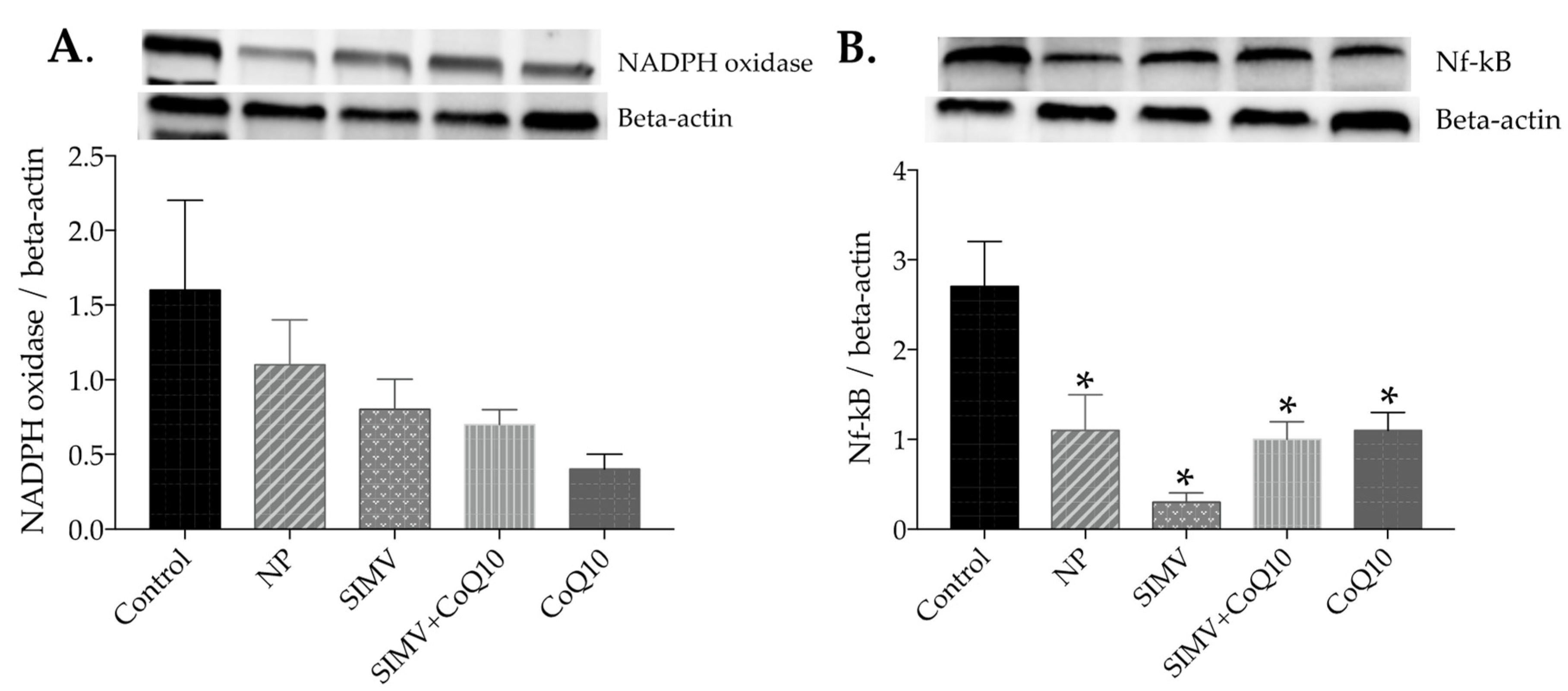 Ijms 24 00276 g005 Ijms 24 00276 g005