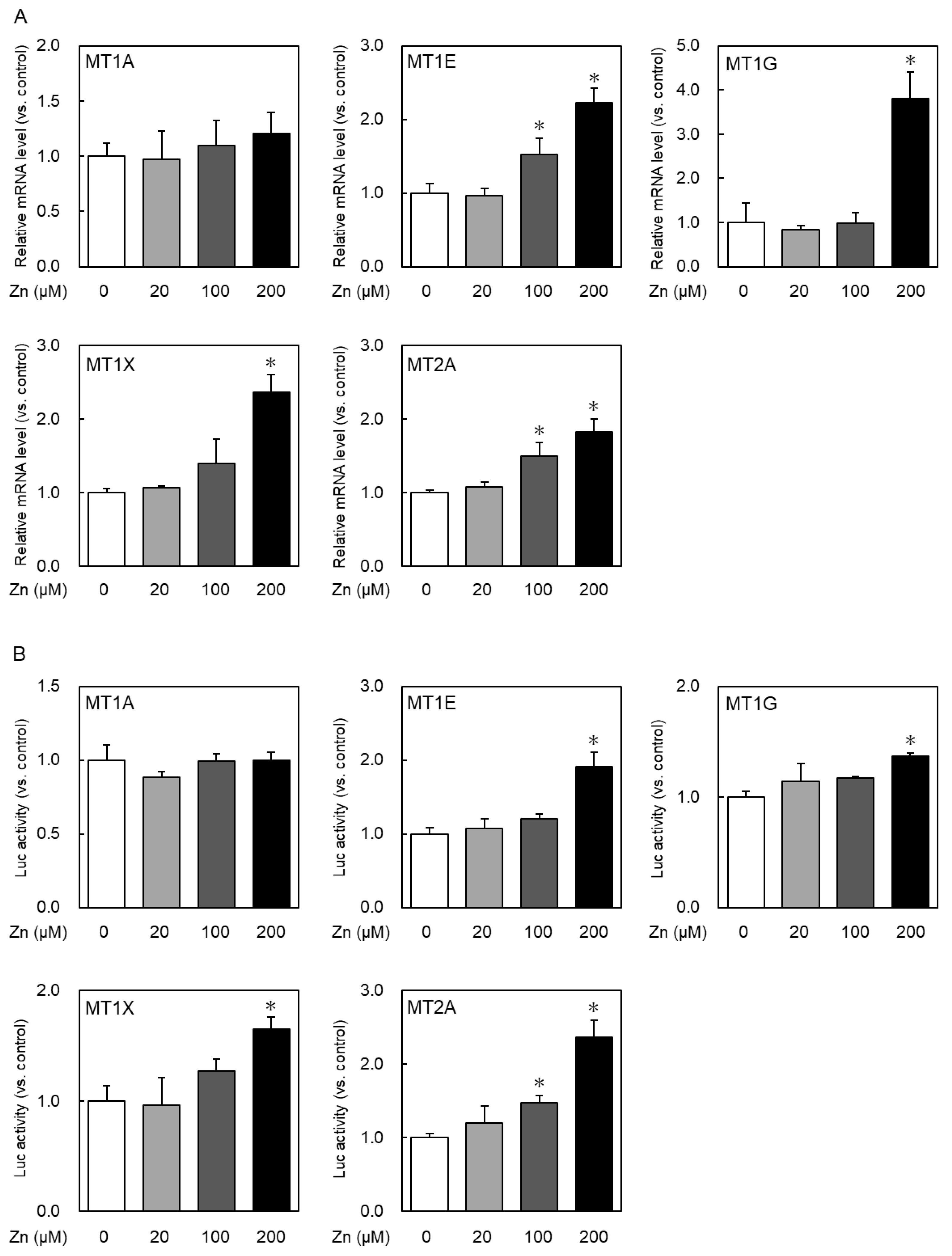 IJMS Free FullText The Difference in Zinc Concentrations Required