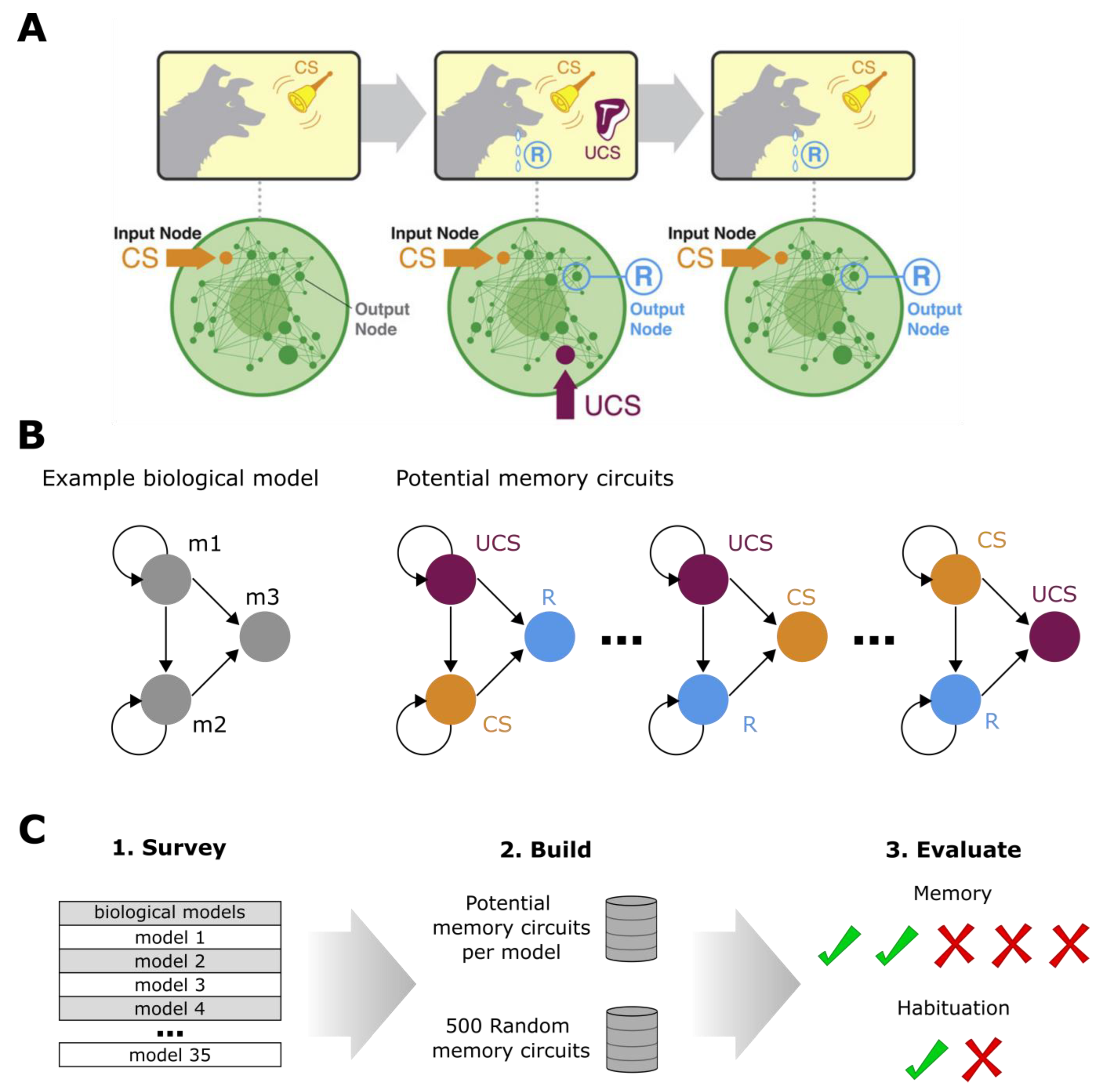 Ijms 24 00285 g001 Ijms 24 00285 g001