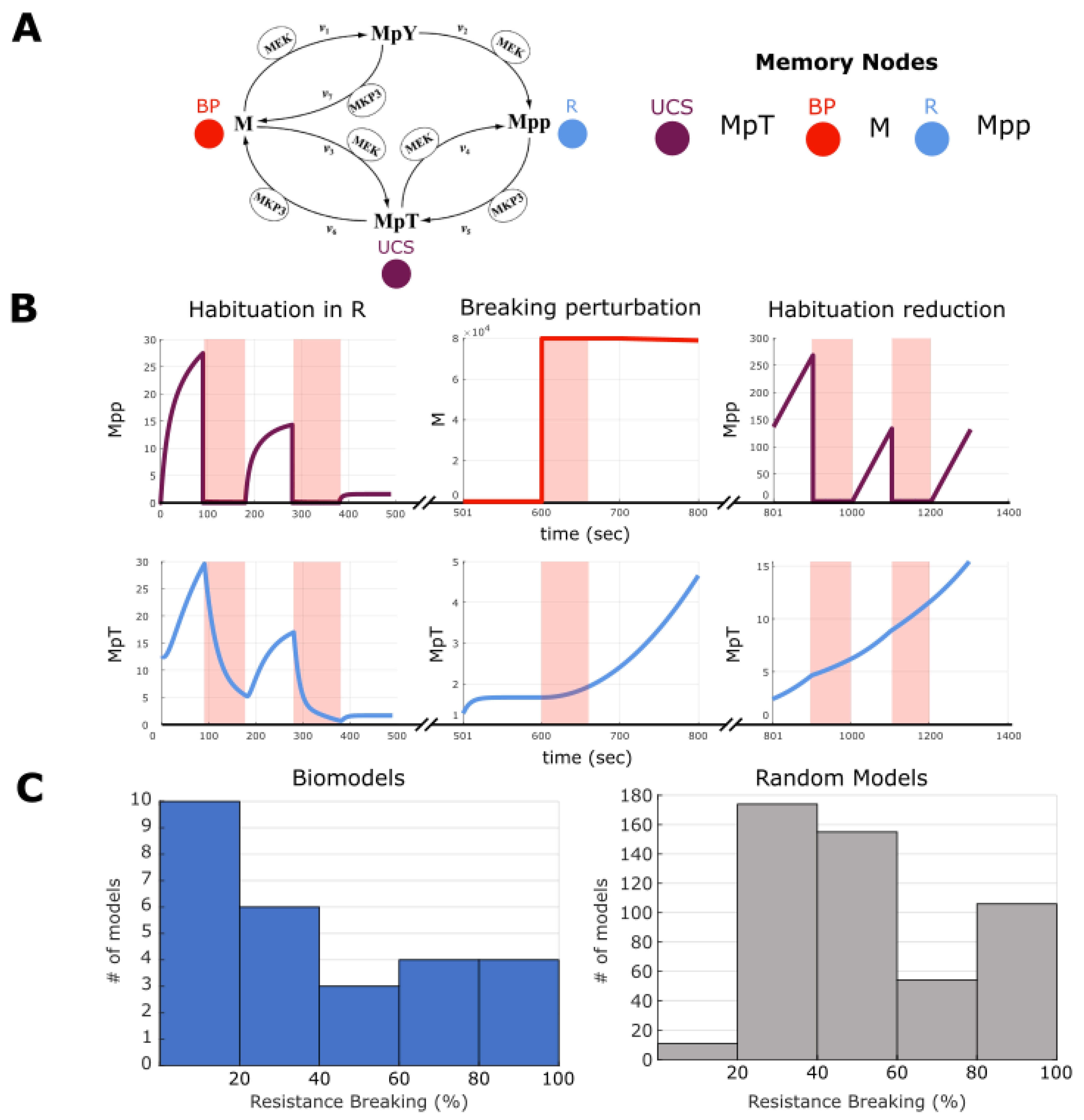 Ijms 24 00285 g009 Ijms 24 00285 g009