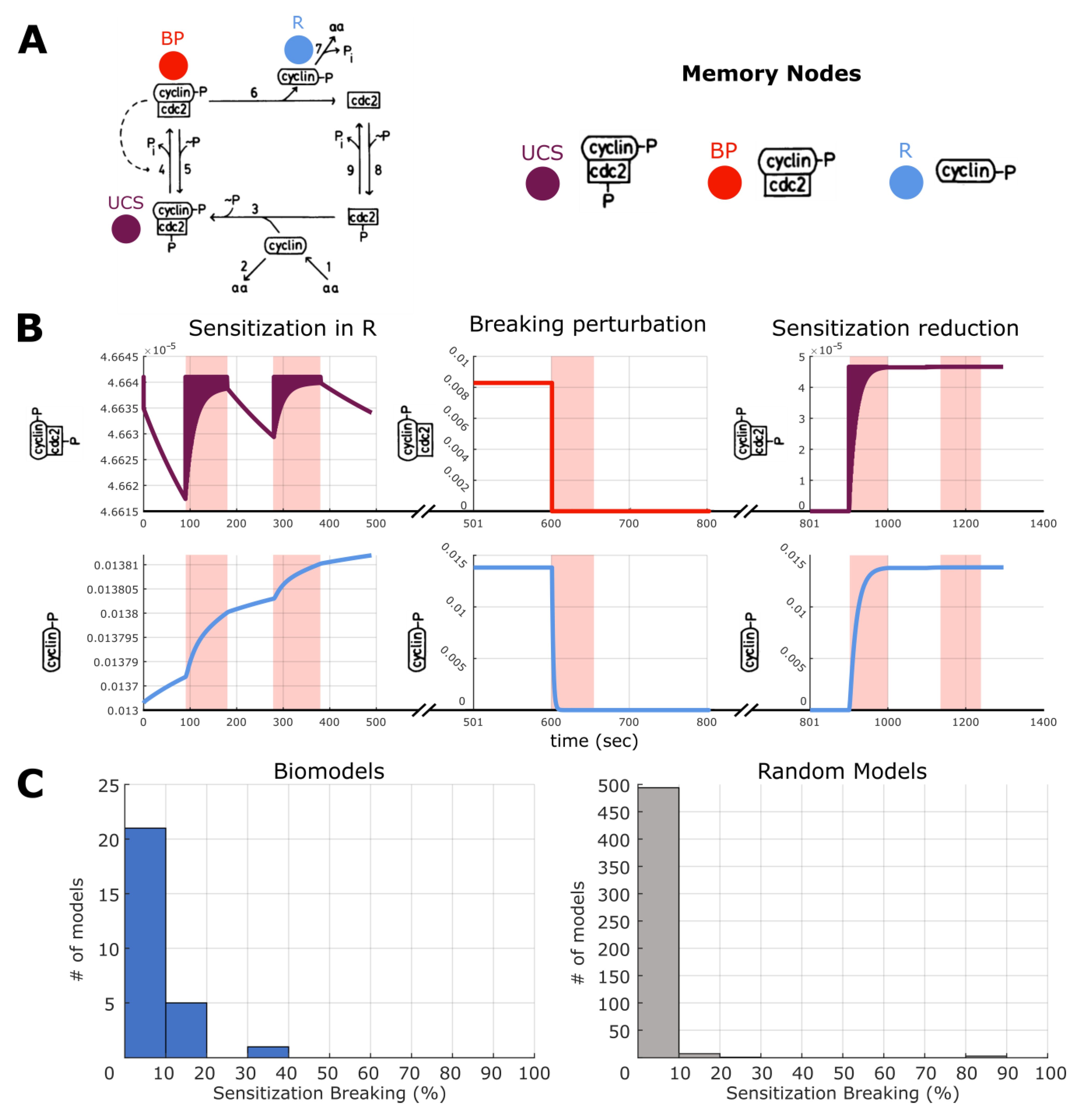 Ijms 24 00285 g011 Ijms 24 00285 g011