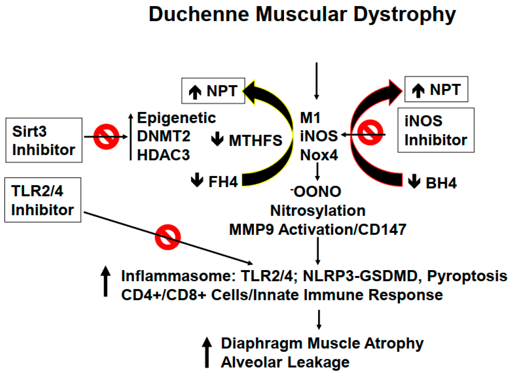 Ijms 24 00287 g001 Ijms 24 00287 g001