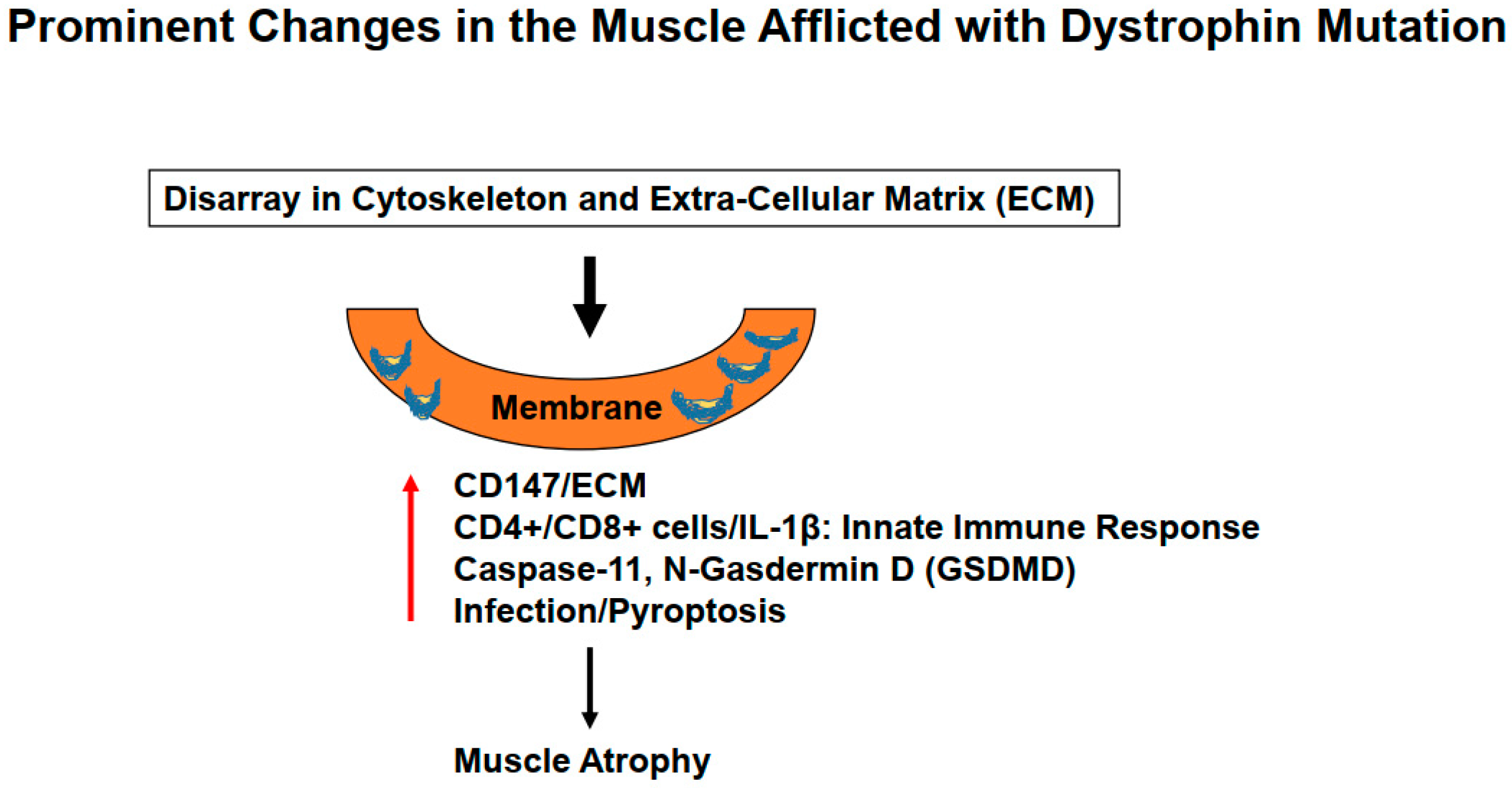 Ijms 24 00287 g002 Ijms 24 00287 g002