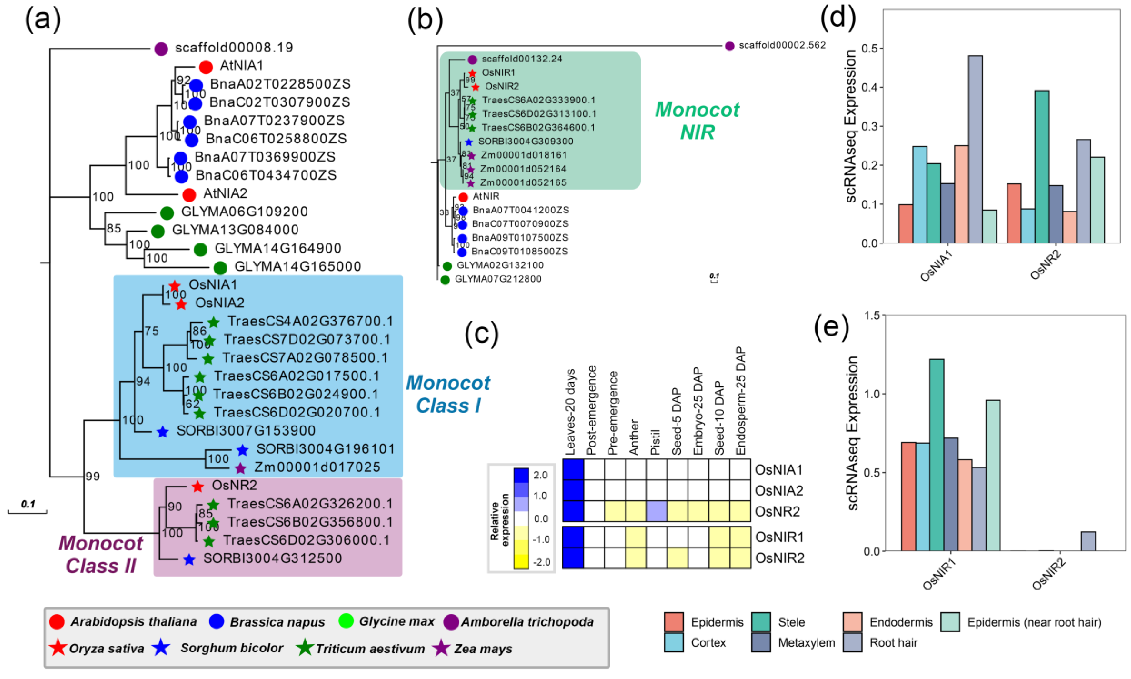 Ijms 24 00288 g001 Ijms 24 00288 g001
