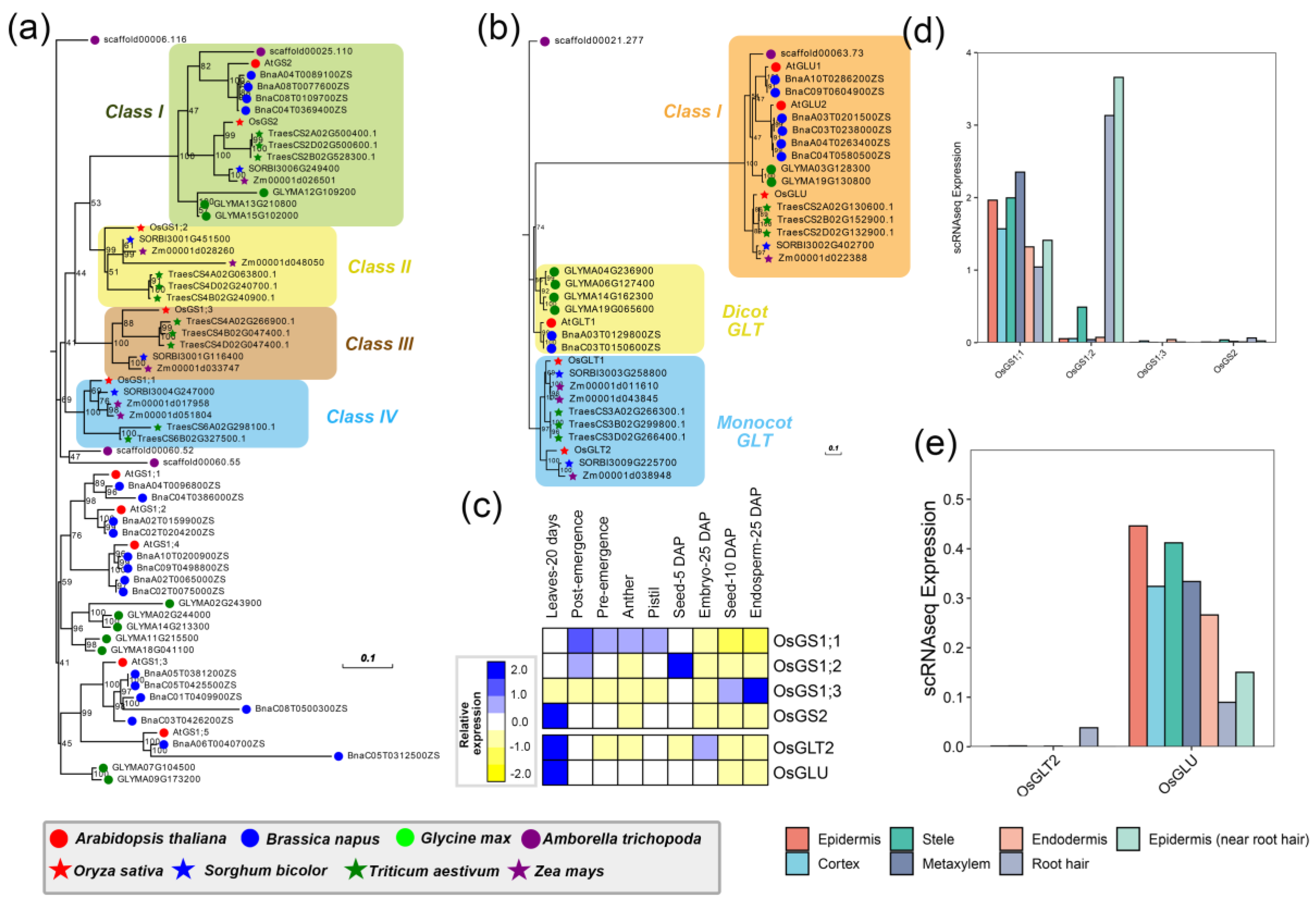 Ijms 24 00288 g002 Ijms 24 00288 g002