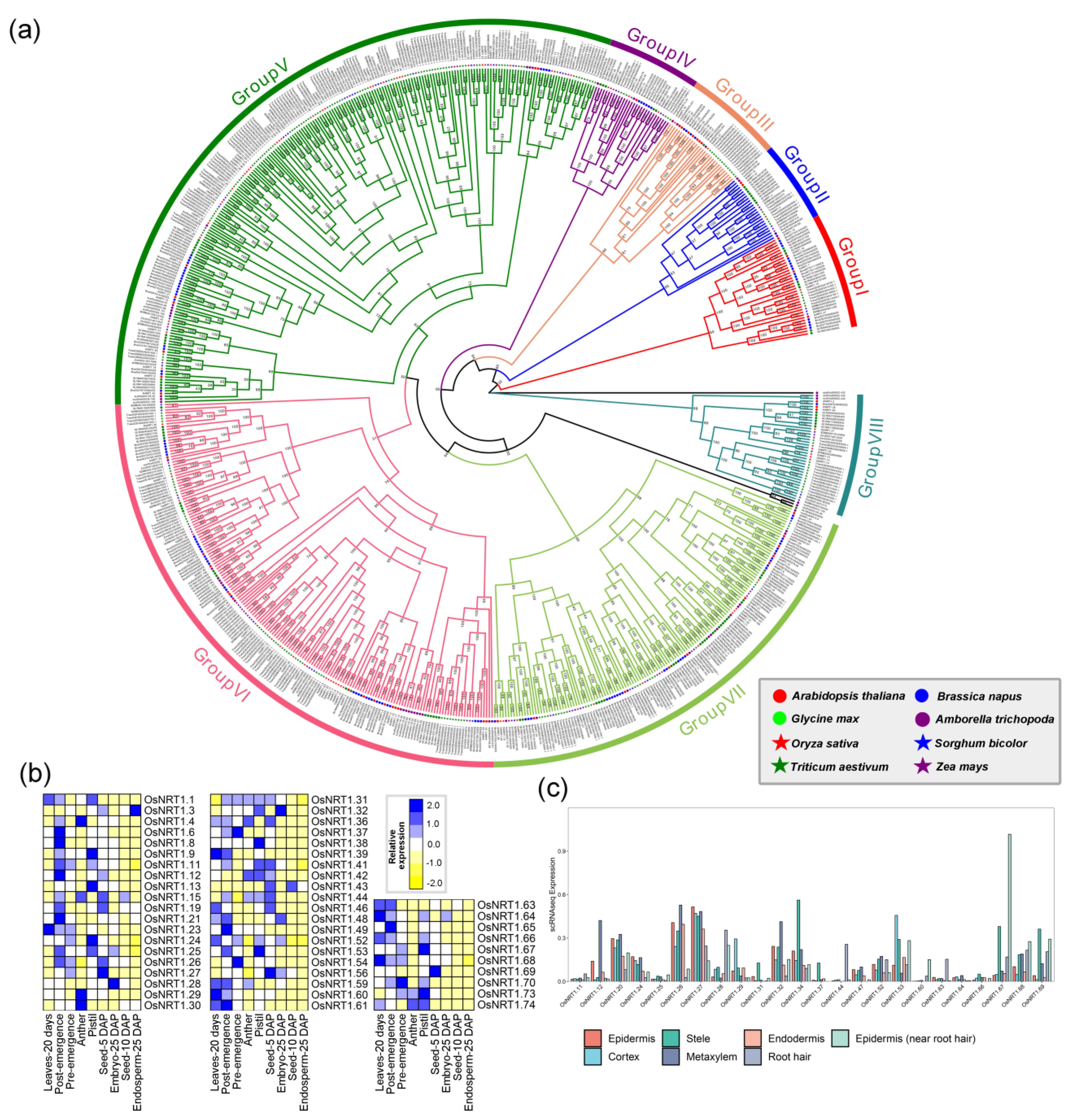 Ijms 24 00288 g005 Ijms 24 00288 g005