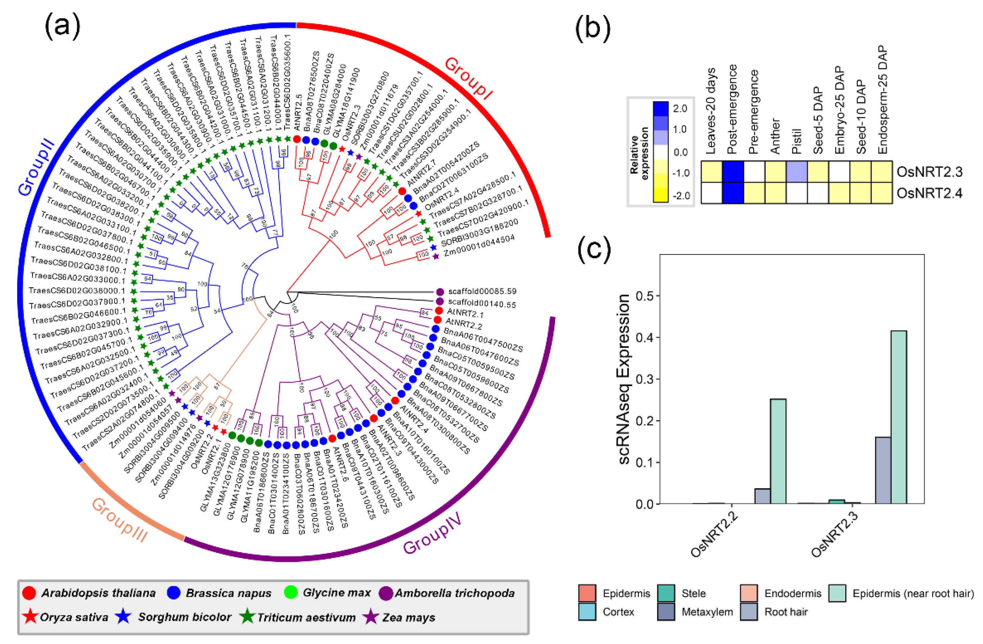 Ijms 24 00288 g006 Ijms 24 00288 g006