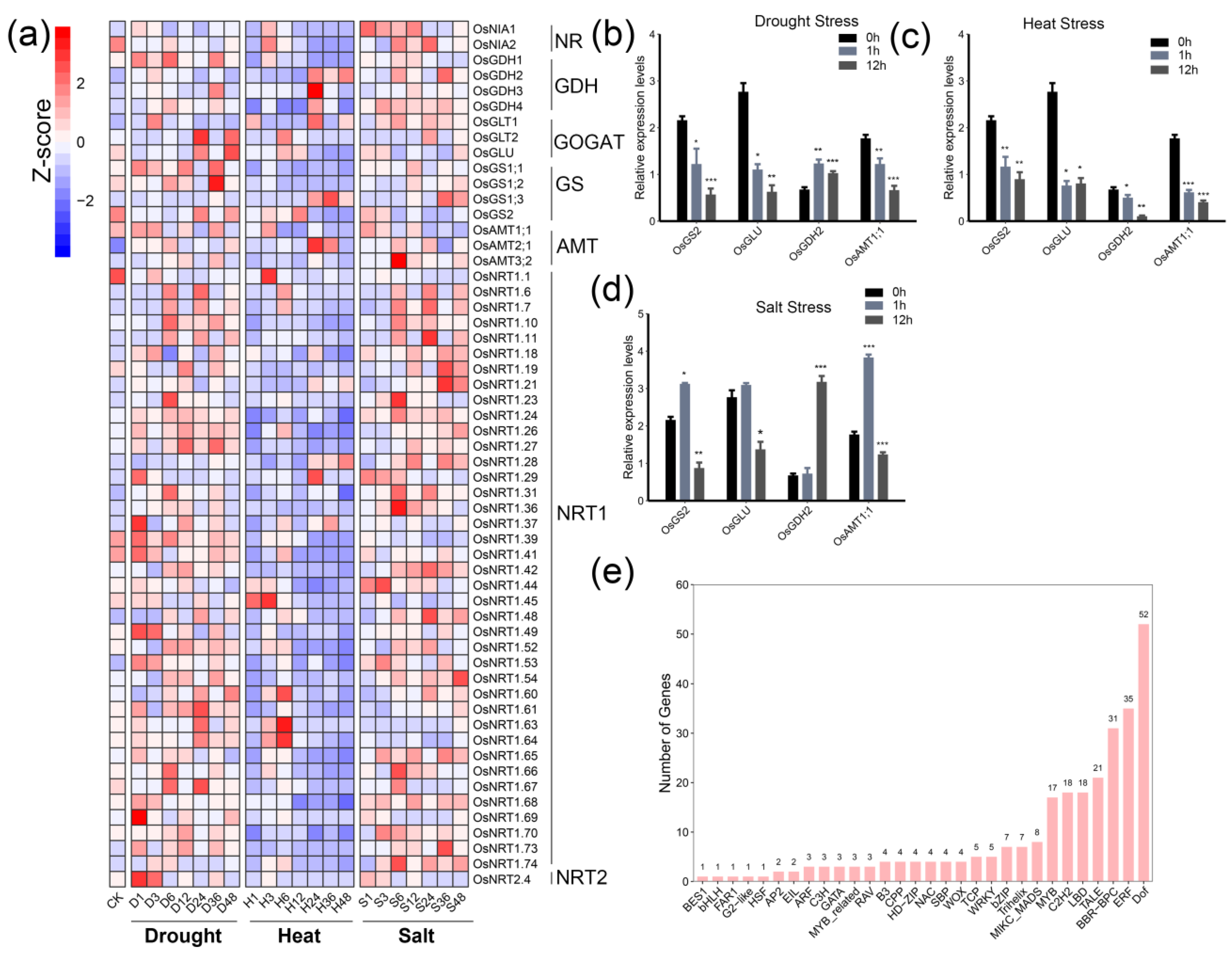 Ijms 24 00288 g007 Ijms 24 00288 g007