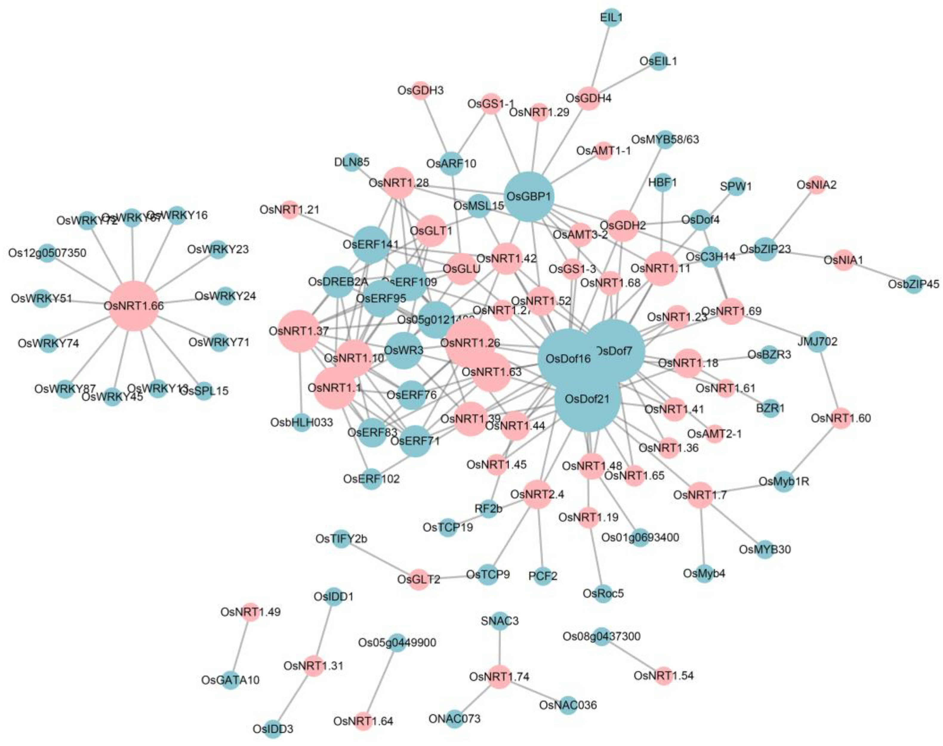 Ijms 24 00288 g008 Ijms 24 00288 g008