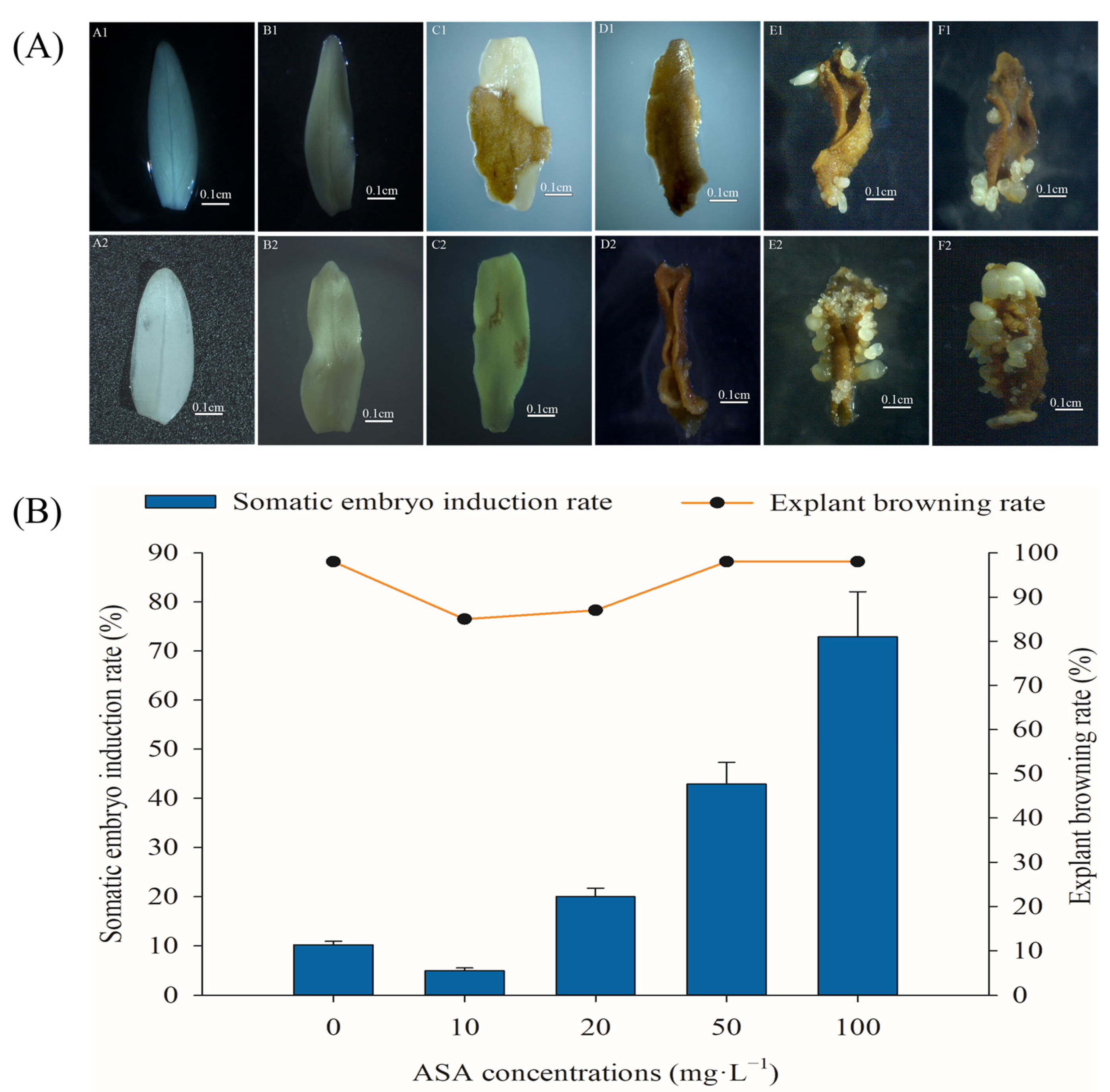 Ijms 24 00289 g001 Ijms 24 00289 g001