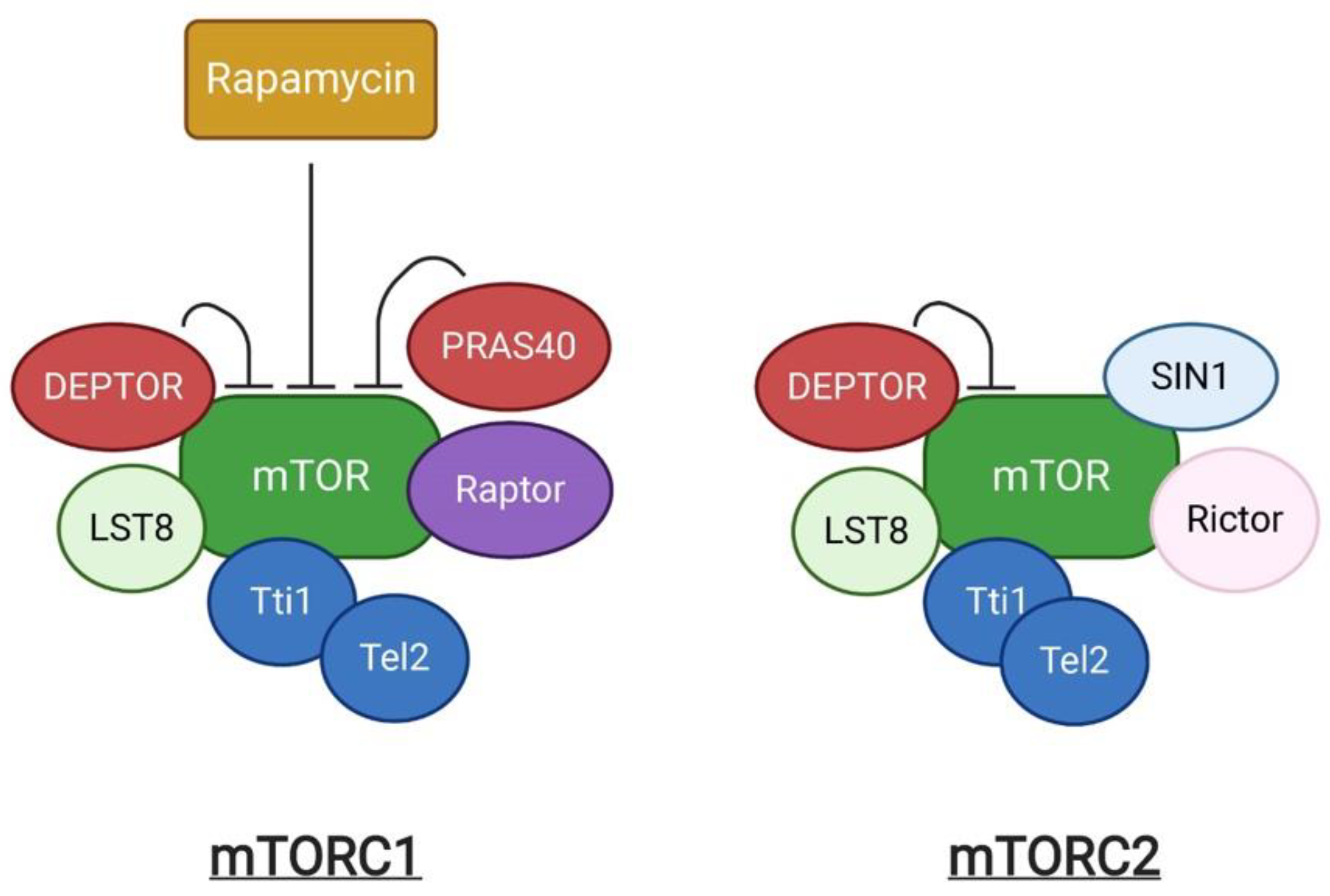 Ijms 24 00297 g001 Ijms 24 00297 g001