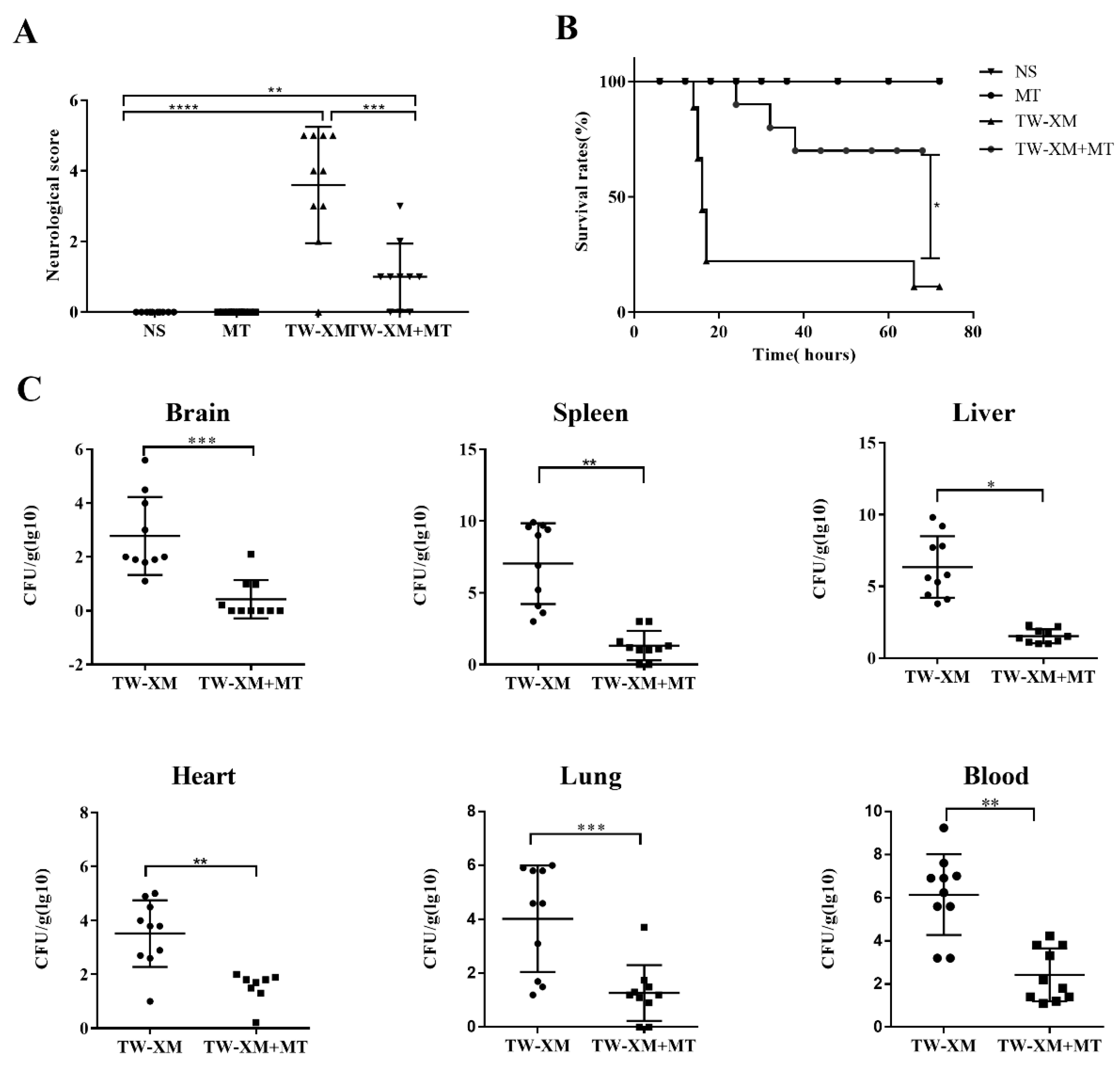 Ijms 24 00298 g001 Ijms 24 00298 g001