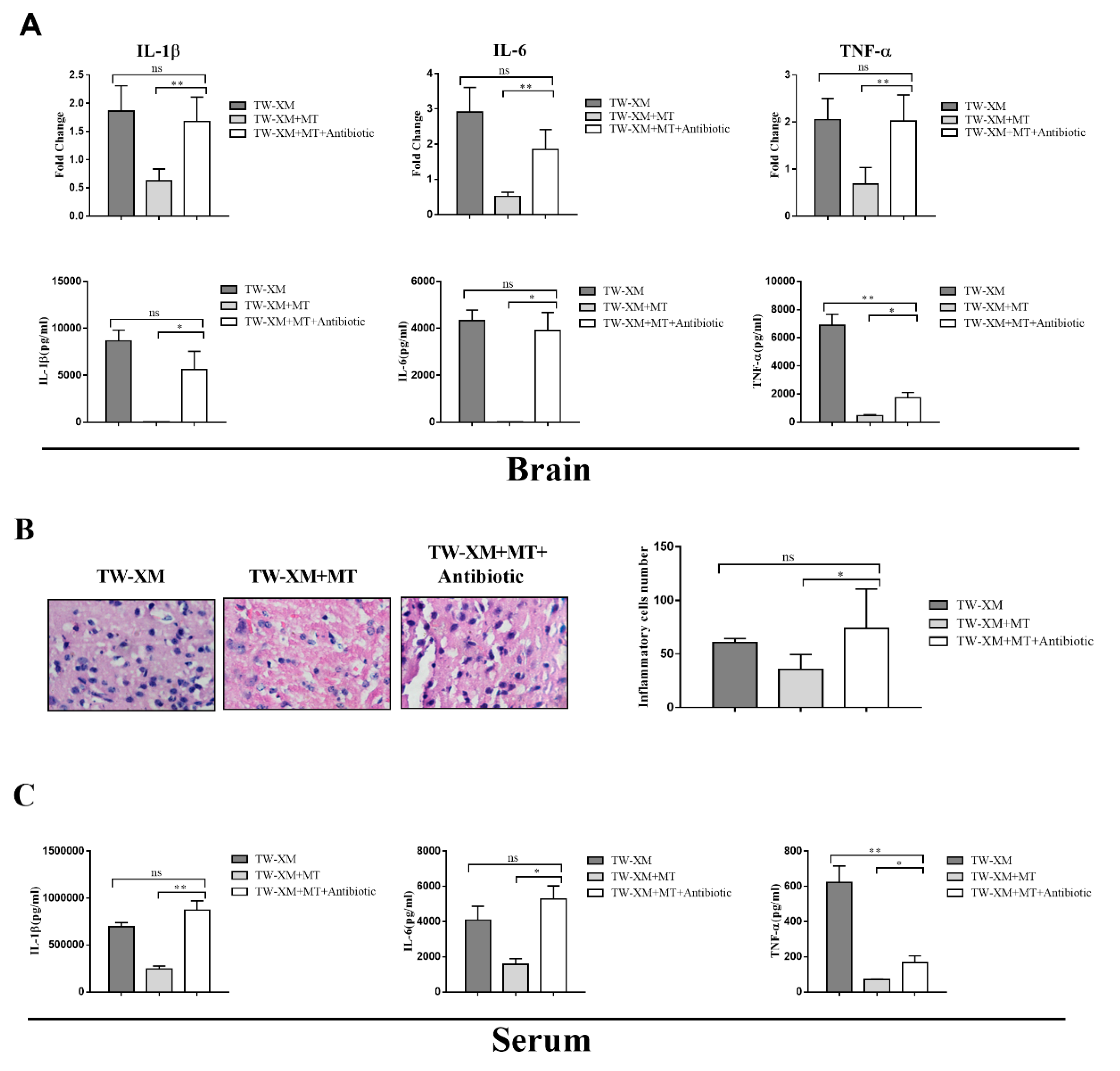 Ijms 24 00298 g007 Ijms 24 00298 g007