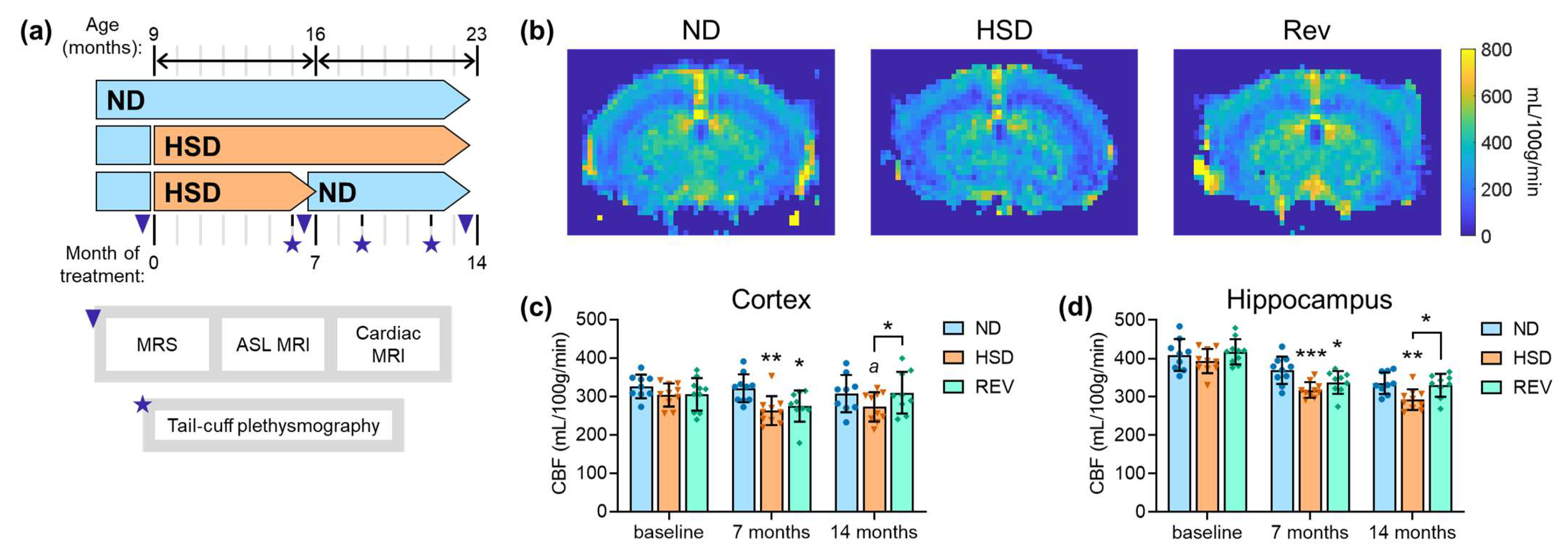Ijms 24 00300 g001 Ijms 24 00300 g001