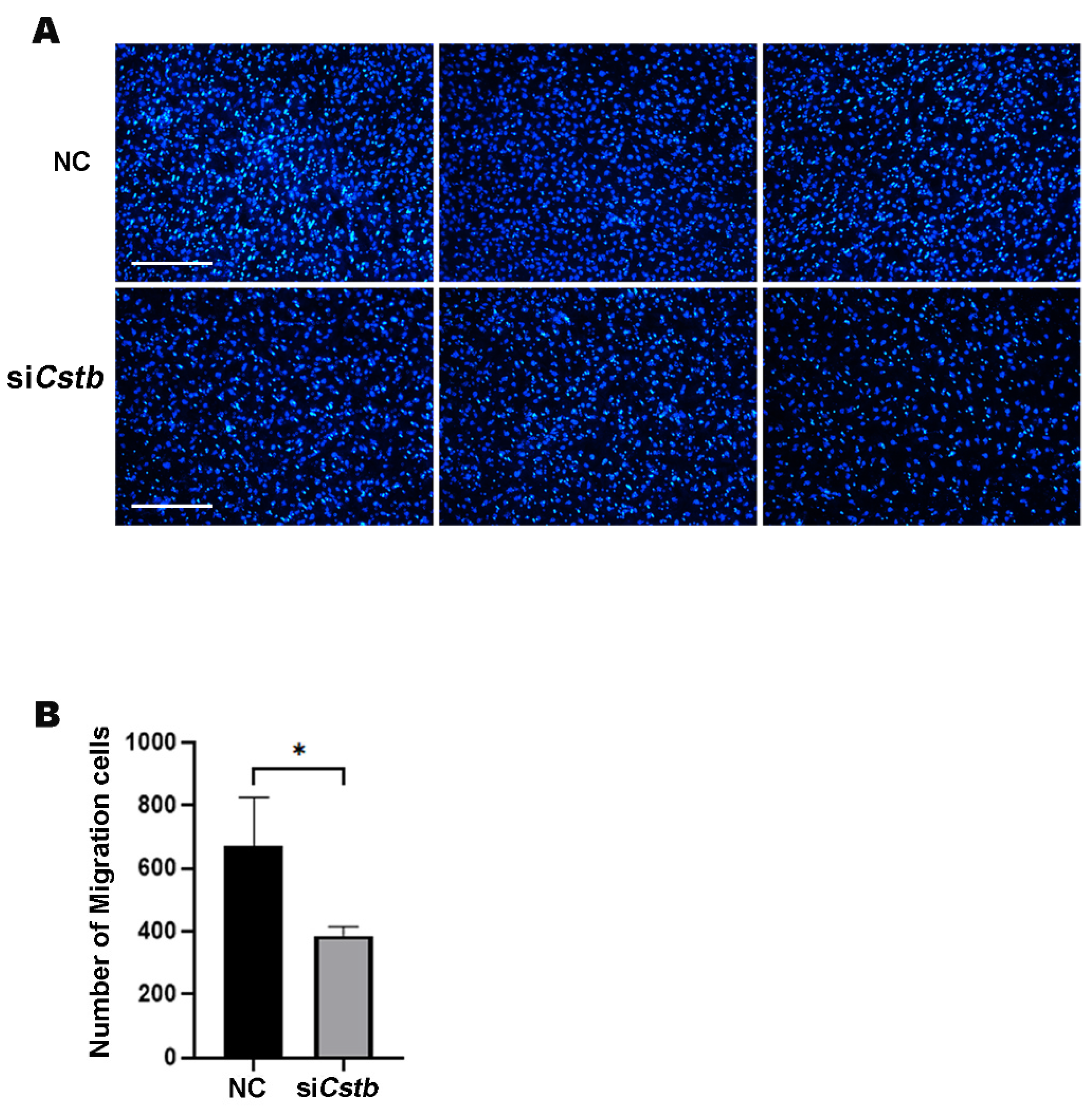 Ijms 24 00302 g005 Ijms 24 00302 g005