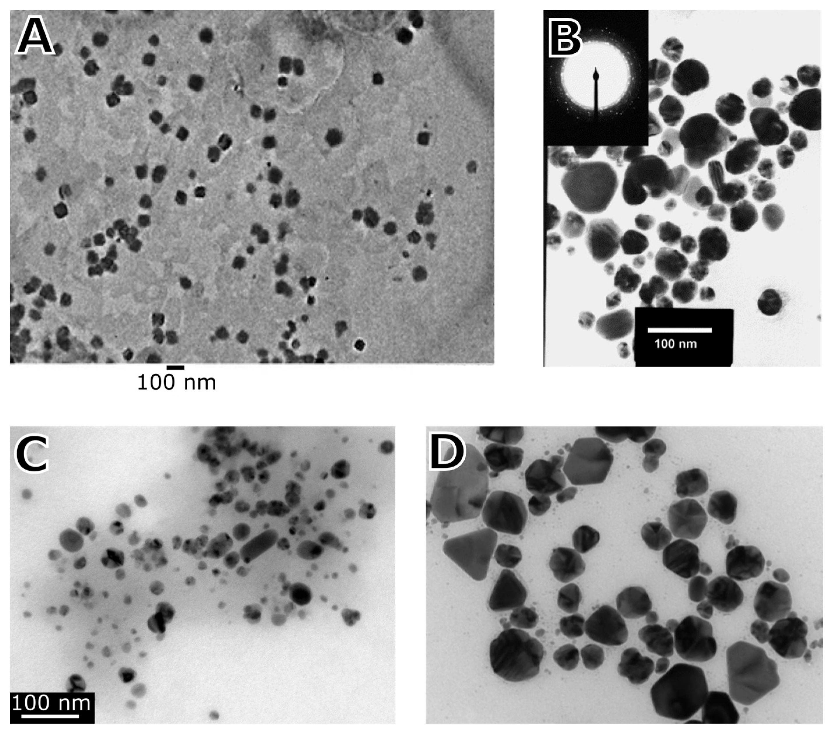 Ijms 24 00304 g001 Ijms 24 00304 g001