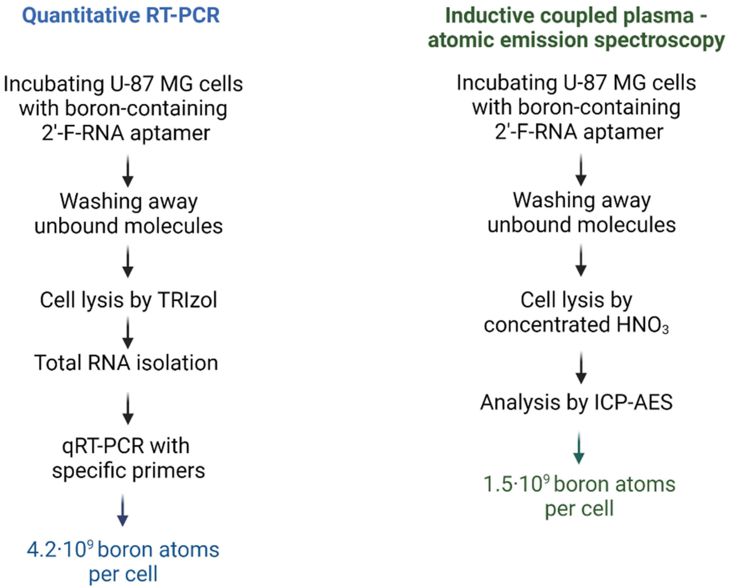 Ijms 24 00306 g005 Ijms 24 00306 g005